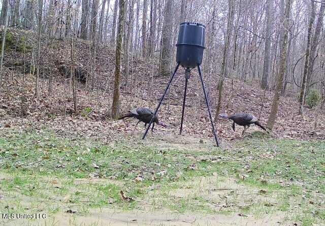 Perry Creek Road Property Photo 43