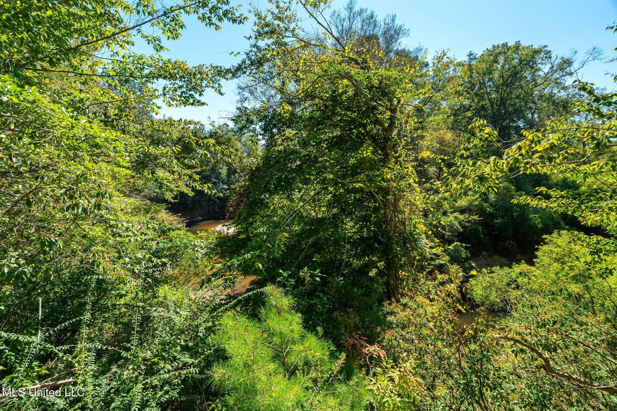 274 Game Reserve Road Property Photo 31