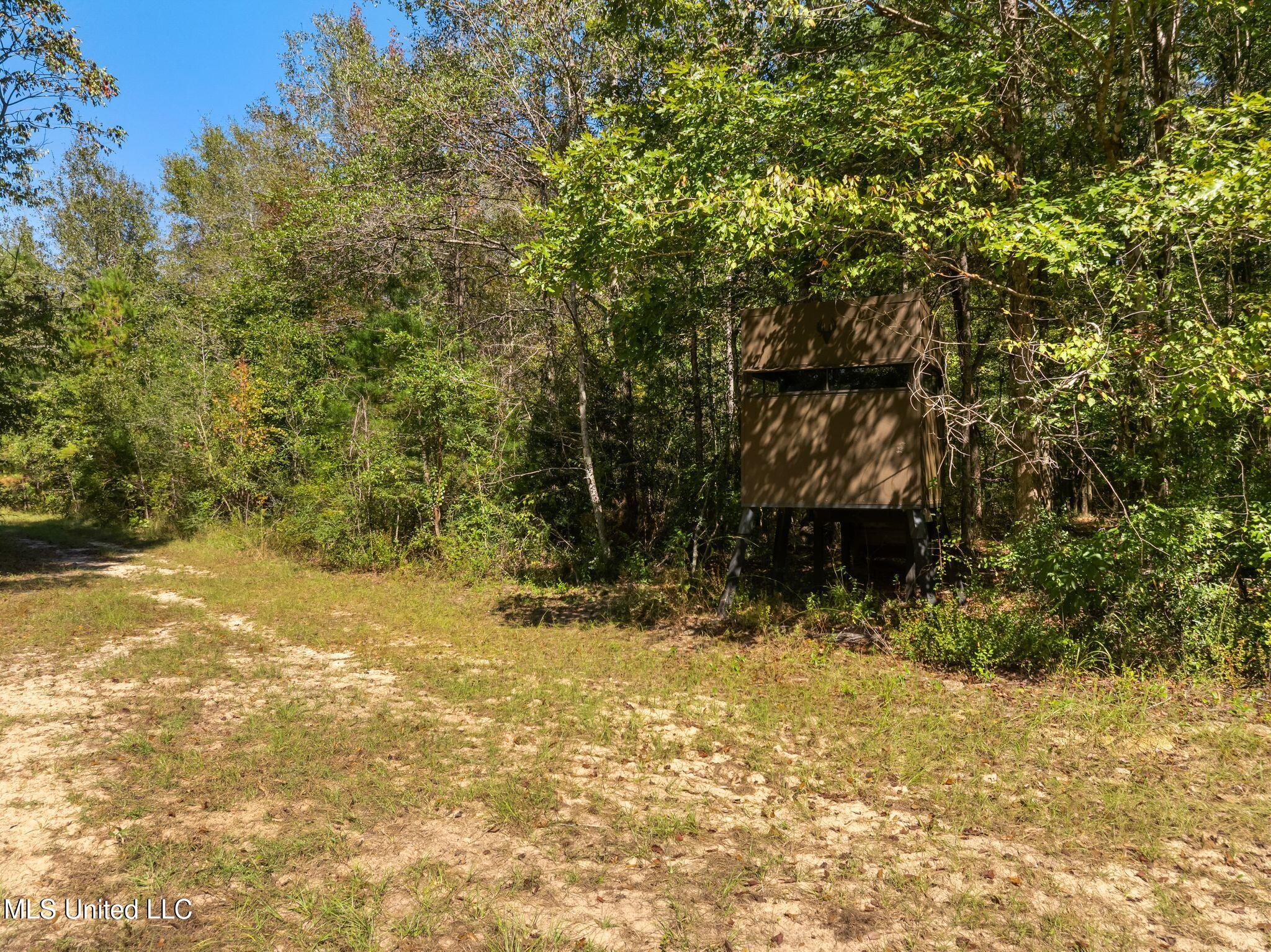 274 Game Reserve Road Property Photo 34