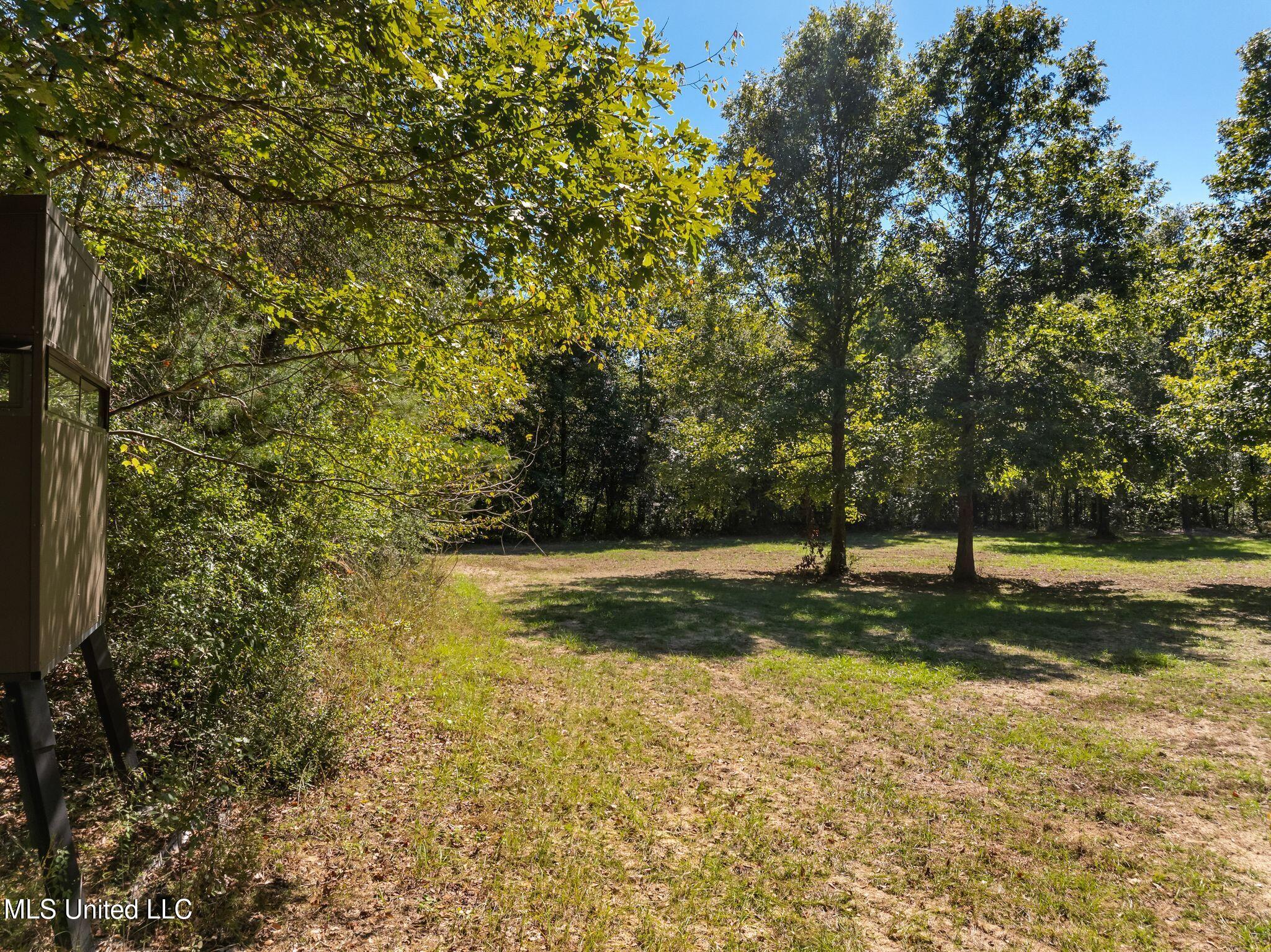 274 Game Reserve Road Property Photo 35