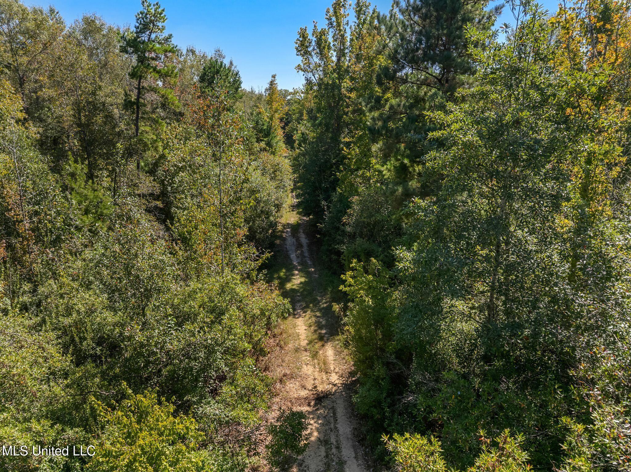 274 Game Reserve Road Property Photo 38