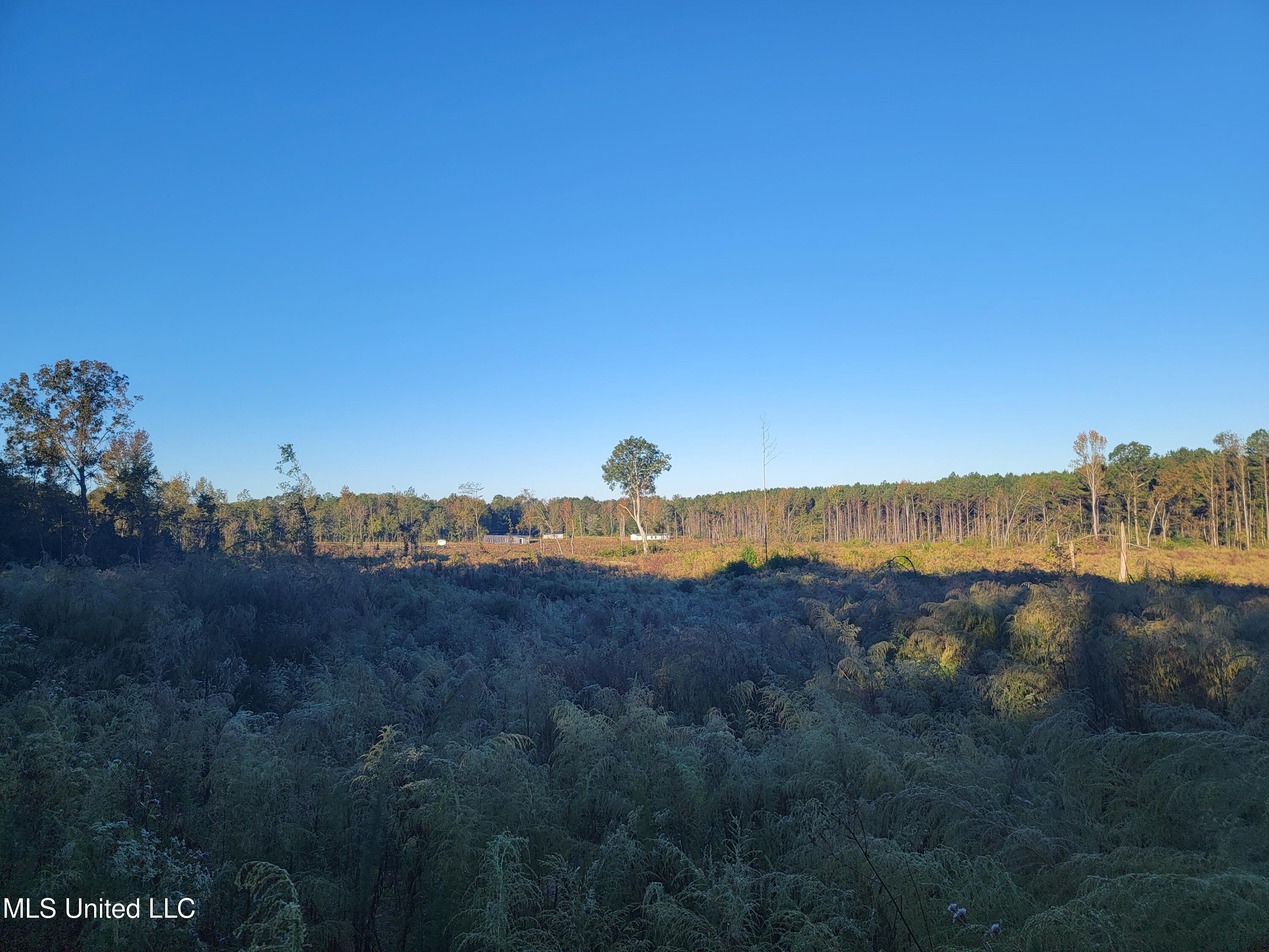 Haralson Lane Property Photo 1