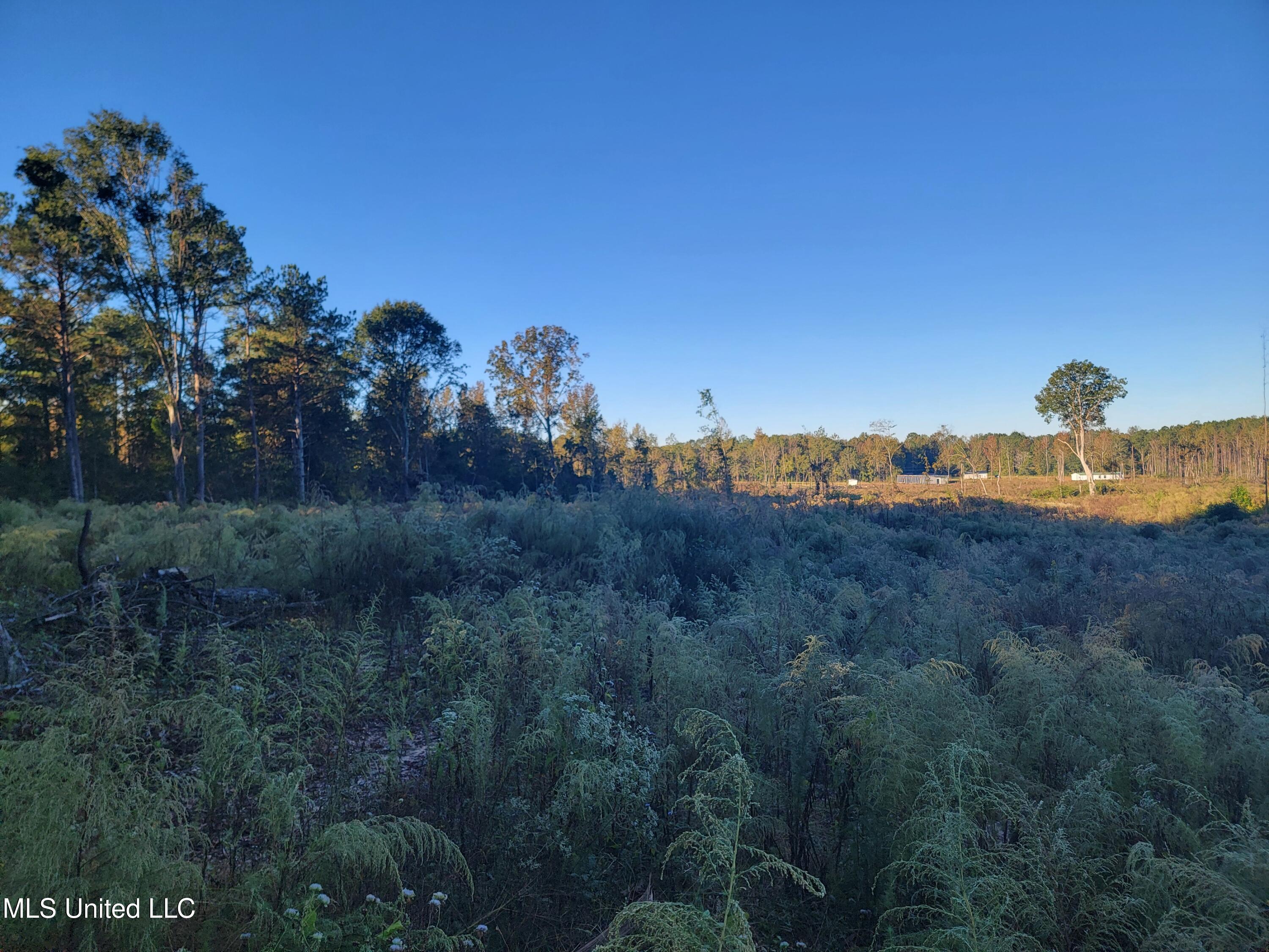 Haralson Lane Property Photo 2