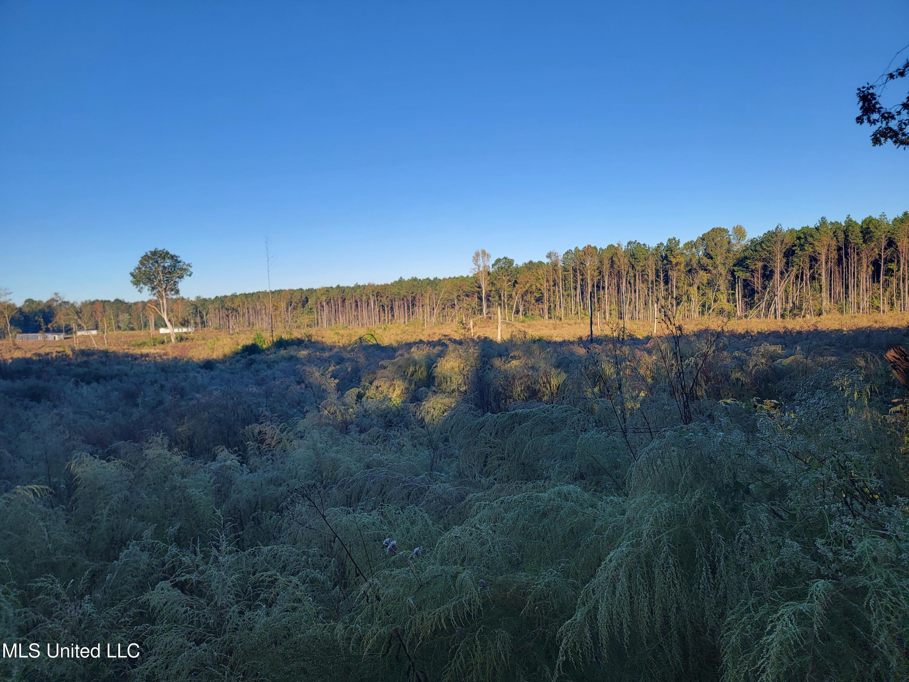 Haralson Lane Property Photo 3