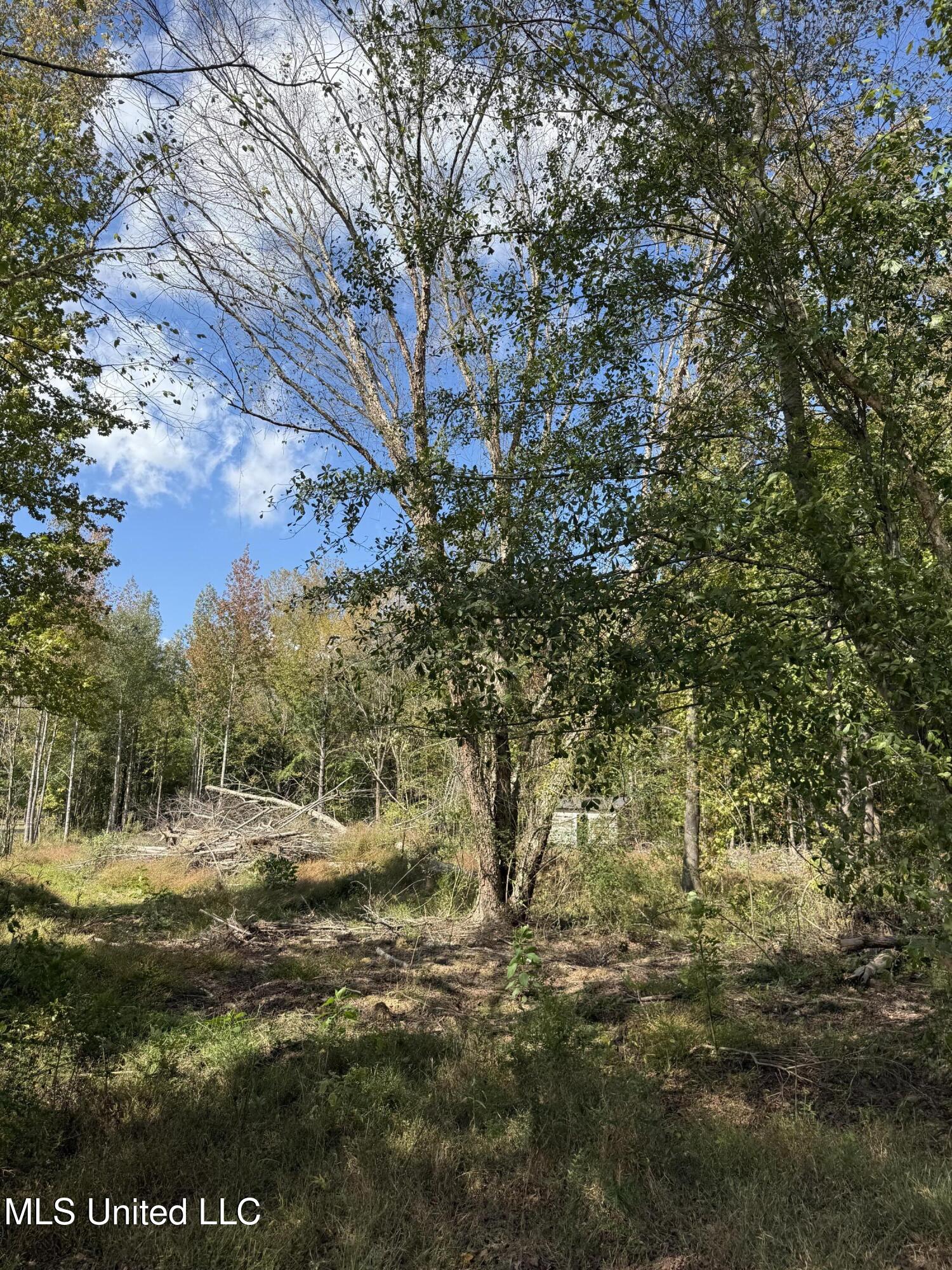 River Ridge Circle Property Photo 7