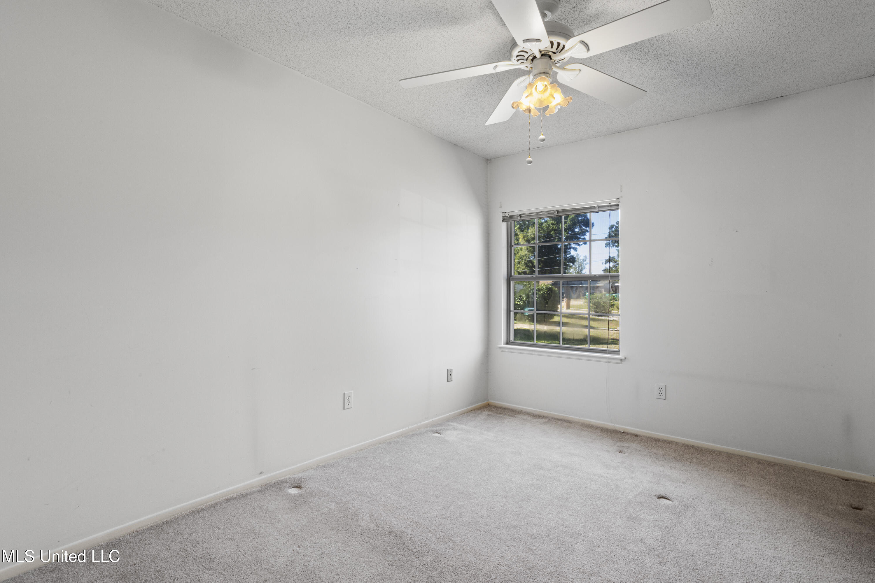 8 Lexington Place Property Photo 16