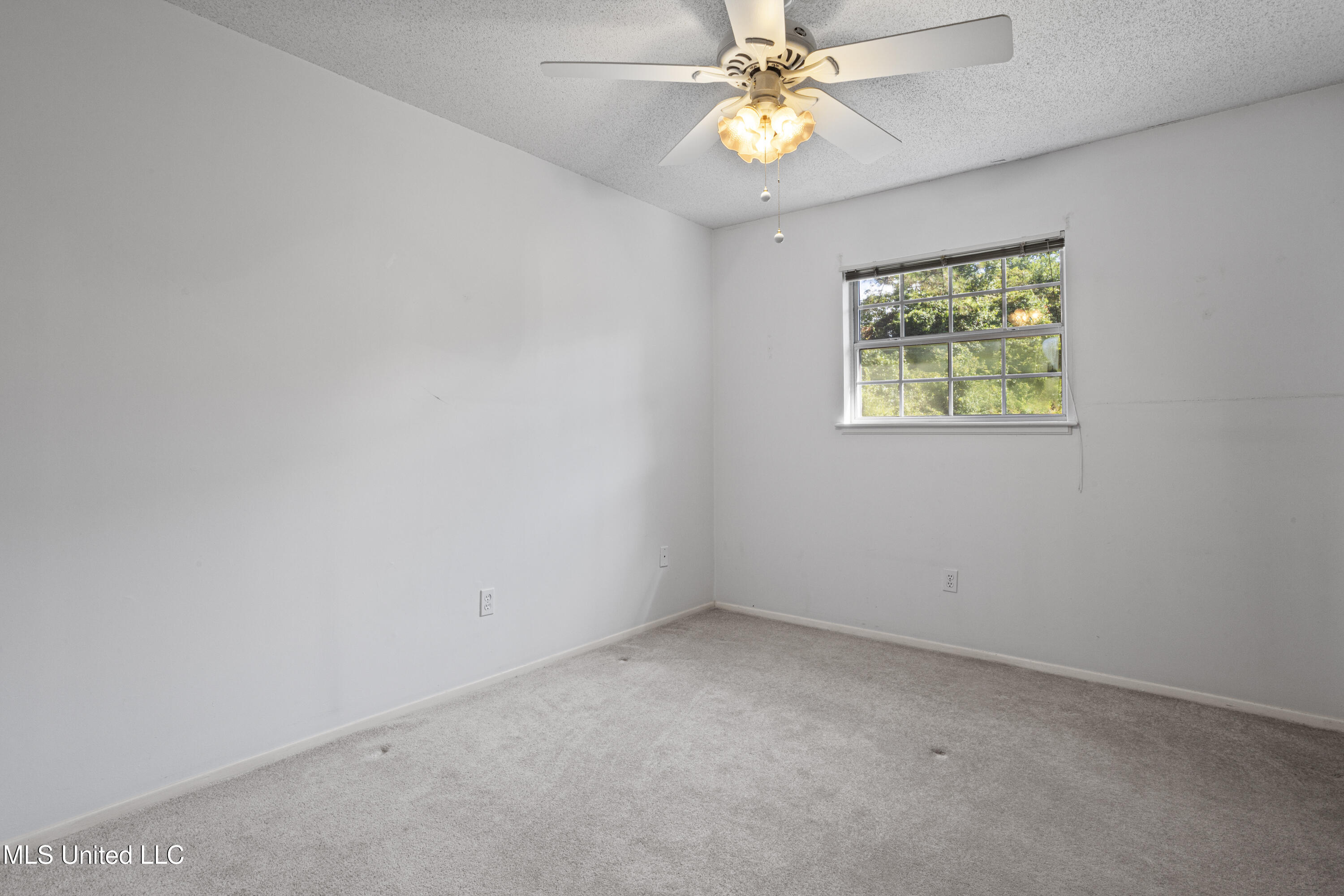 8 Lexington Place Property Photo 17