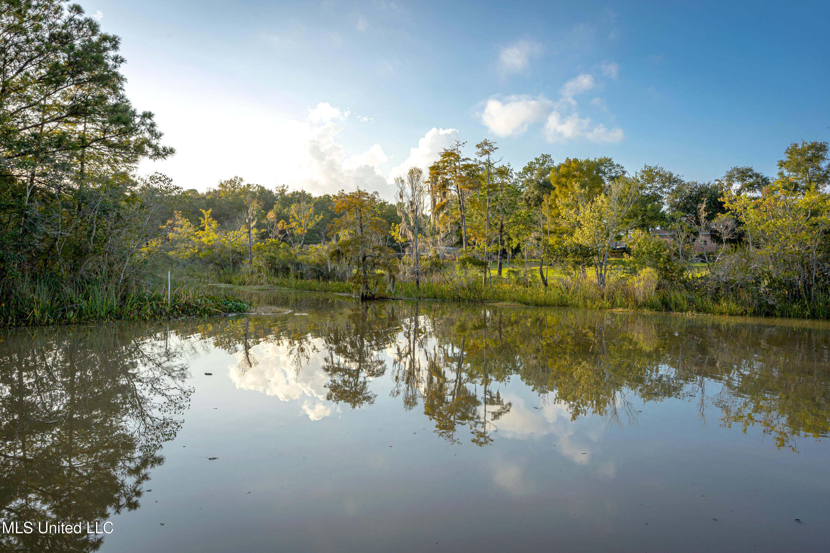 1102 Stanfield Point Road Property Photo 52