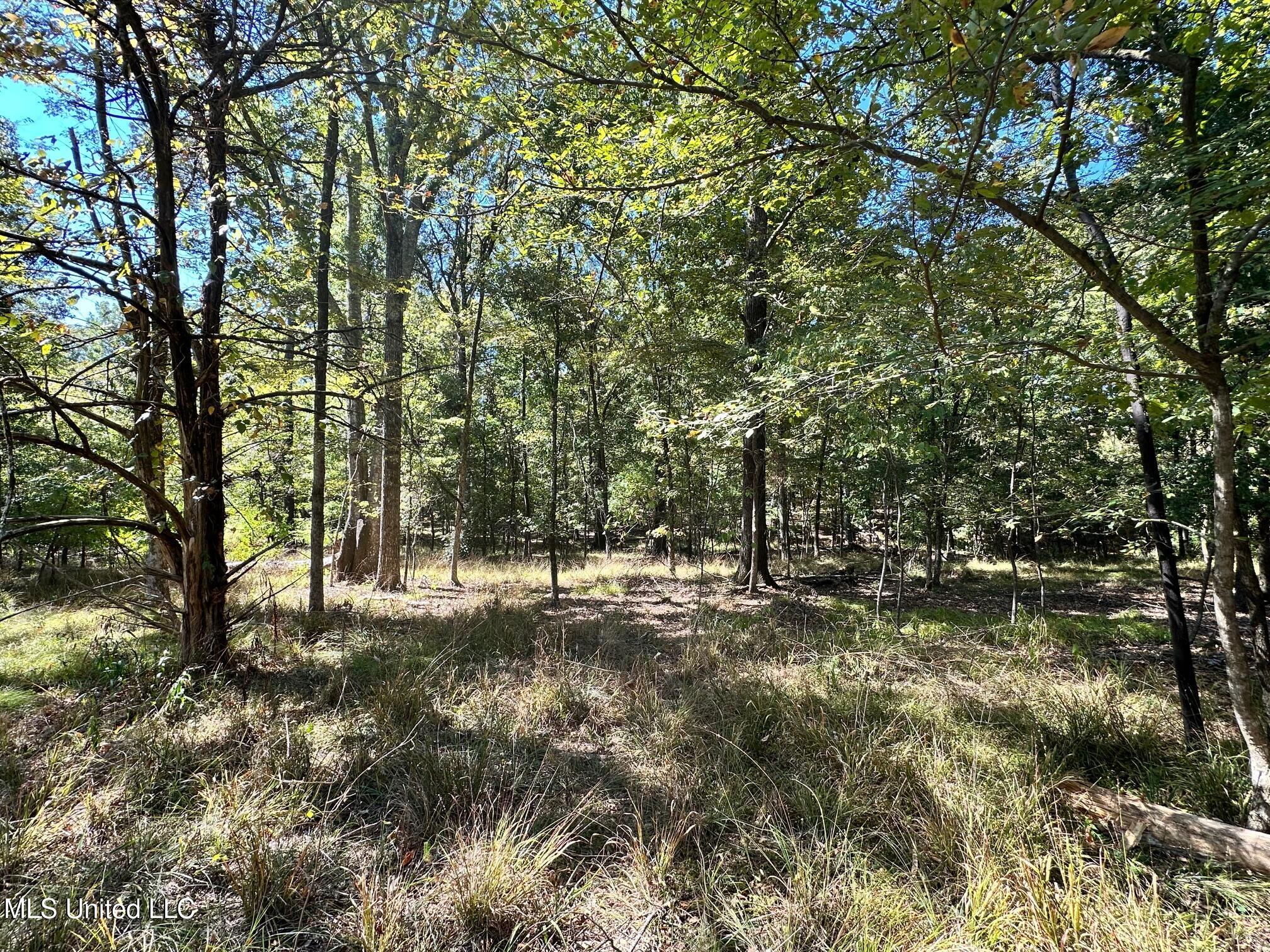 St Augustine Drive Property Photo 3