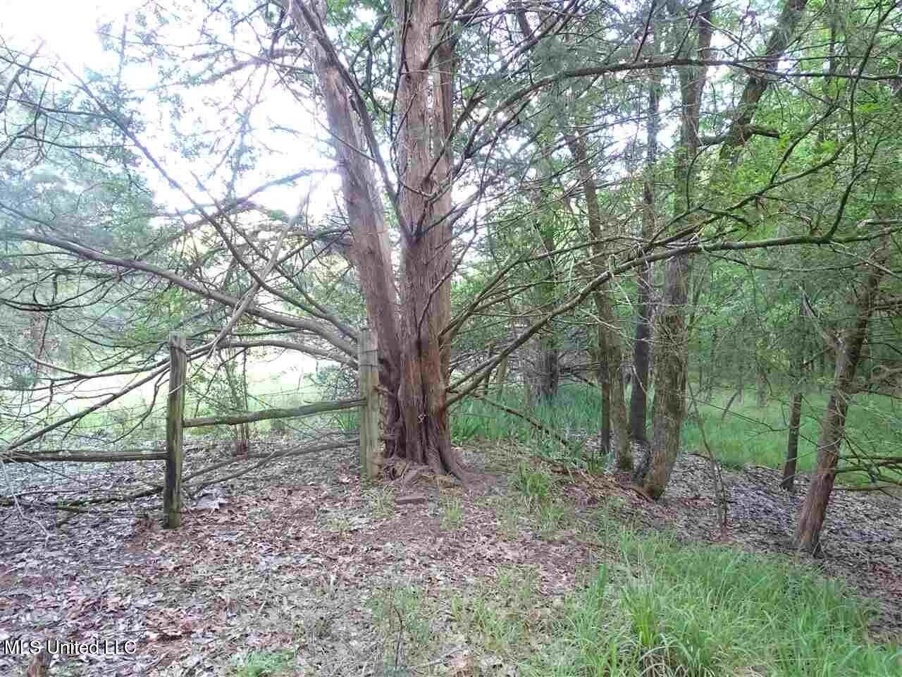 St Augustine Drive Property Photo 9