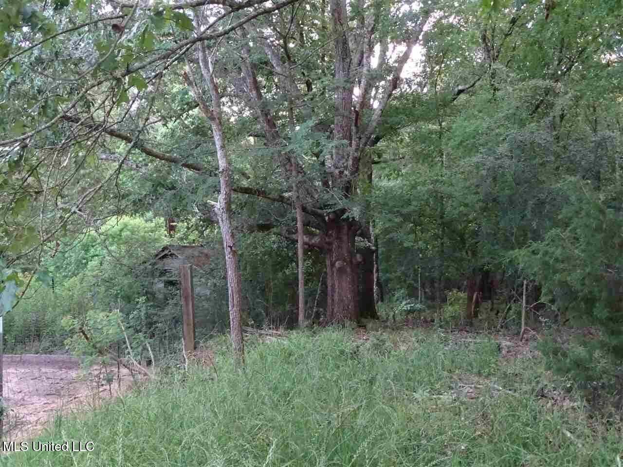 St Augustine Drive Property Photo 11