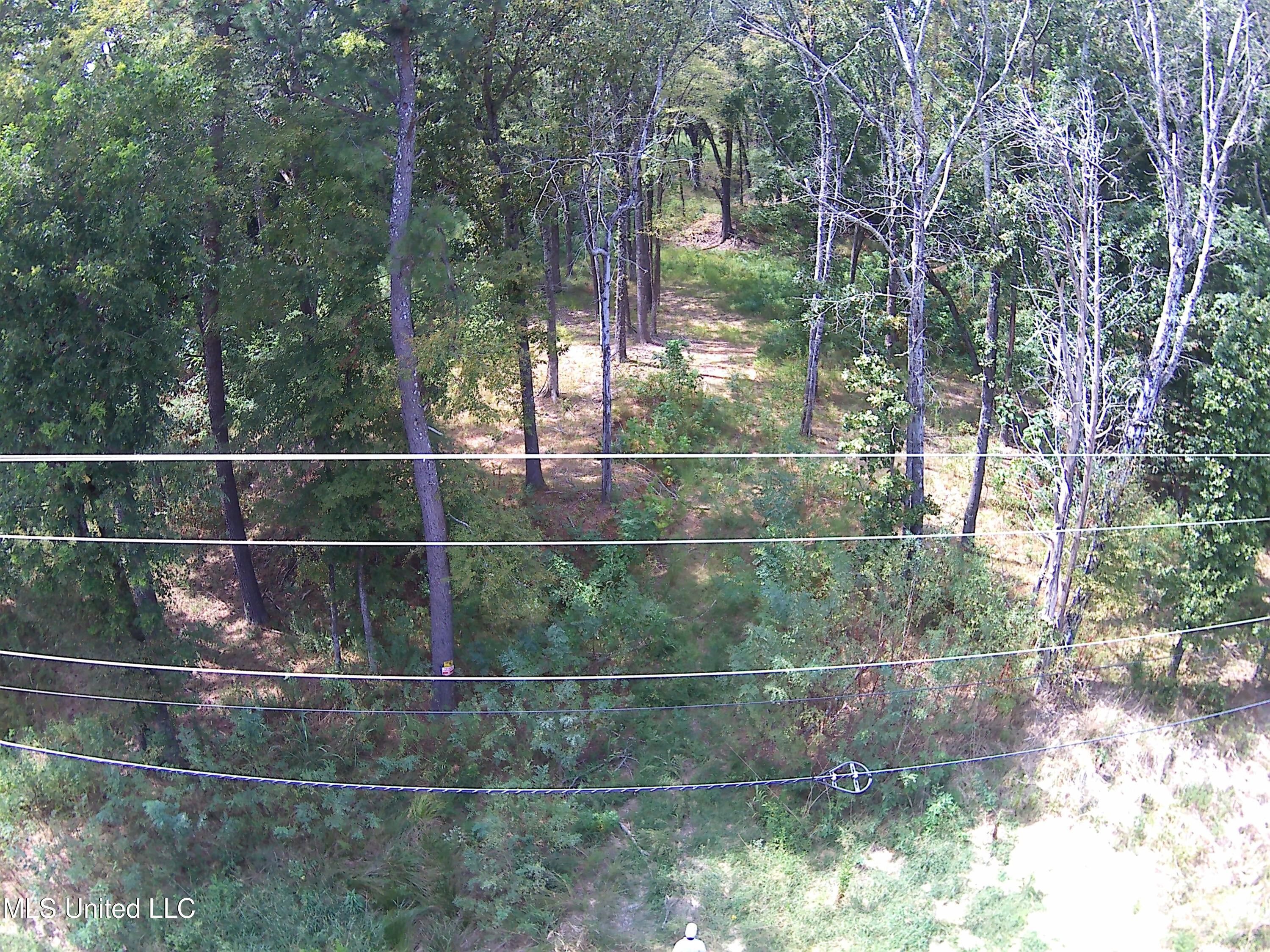 1419 Cayce Road Property Photo 3