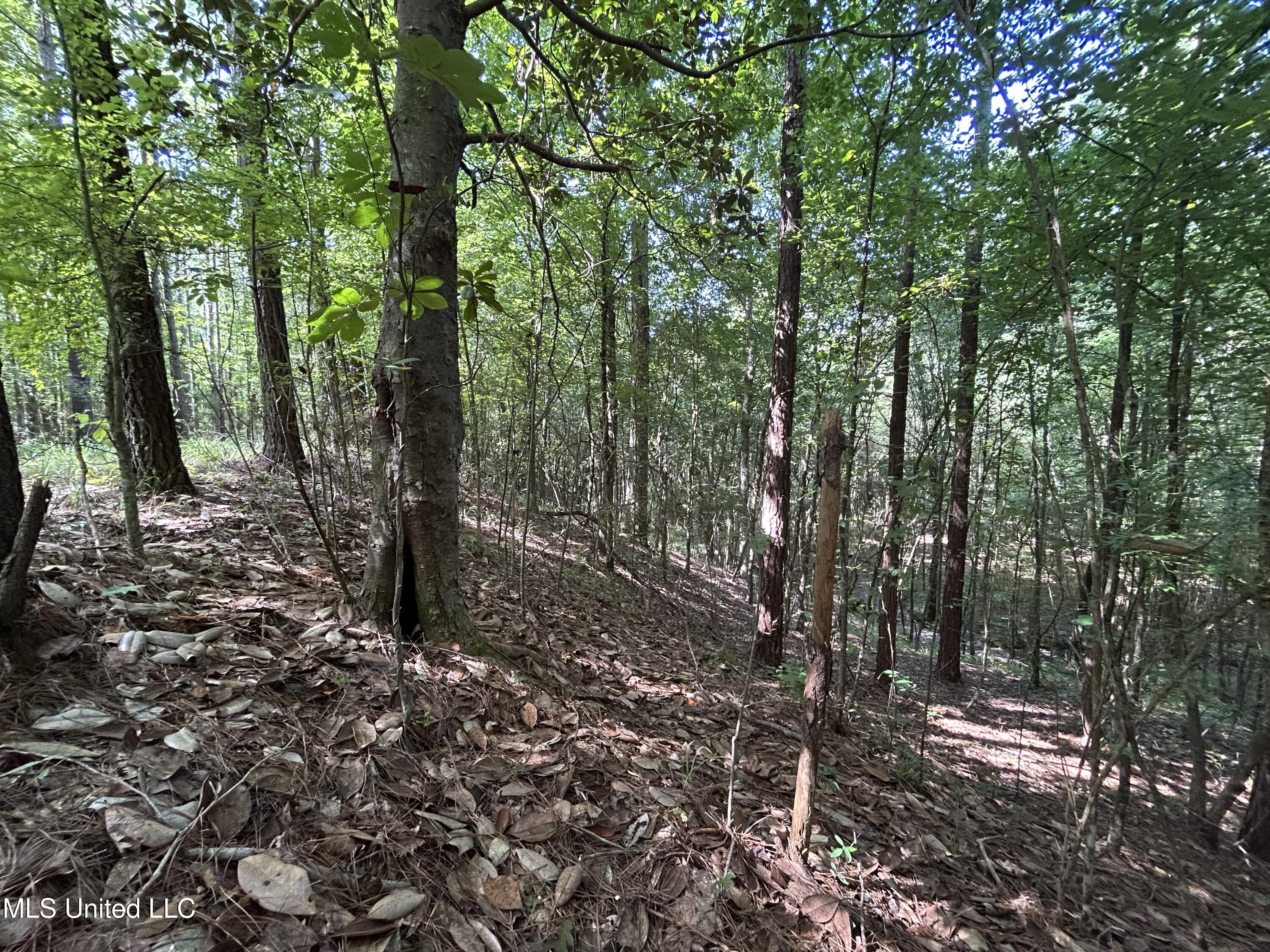 Lowenkamp Lane Property Photo 3