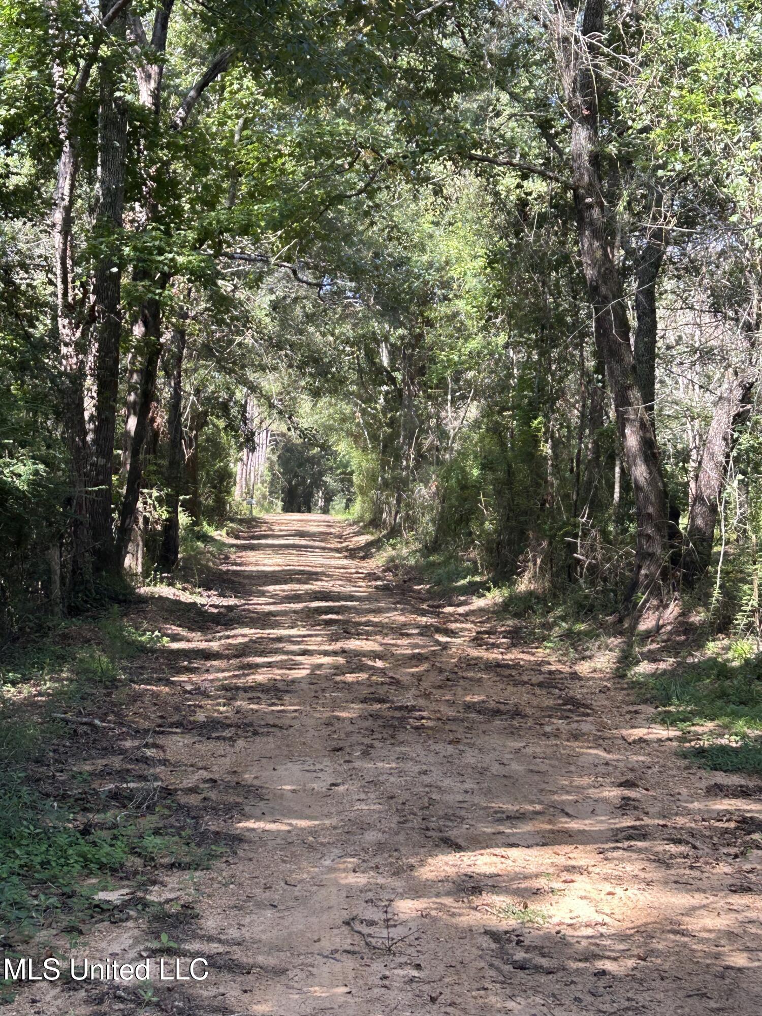 Lowenkamp Lane Property Photo 4