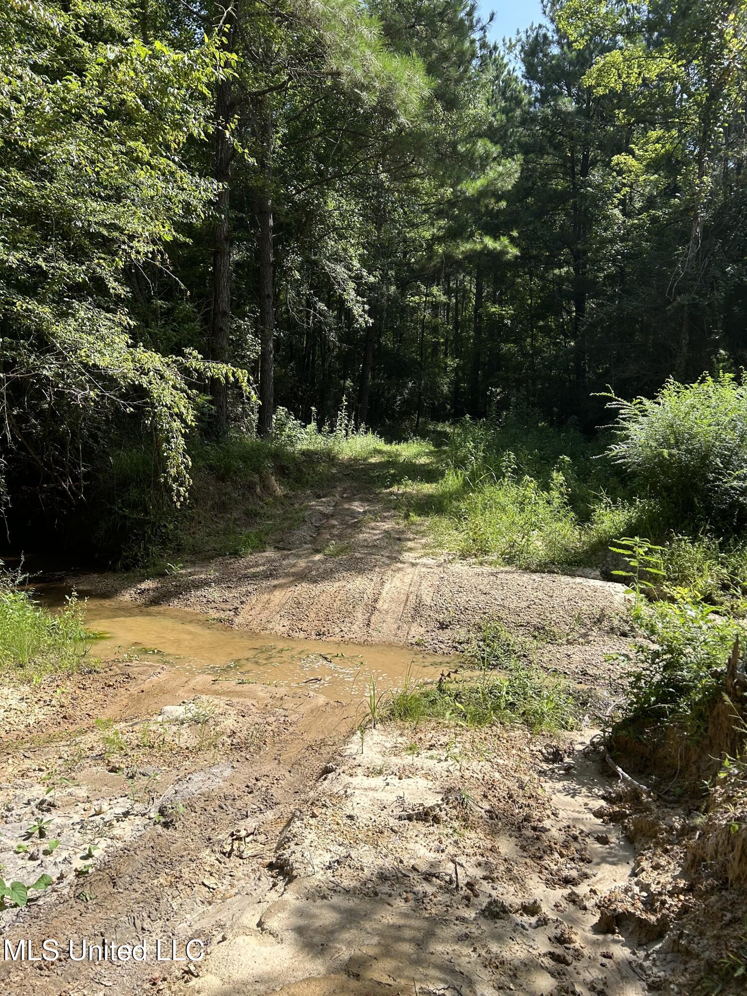 Lowenkamp Lane Property Photo 5