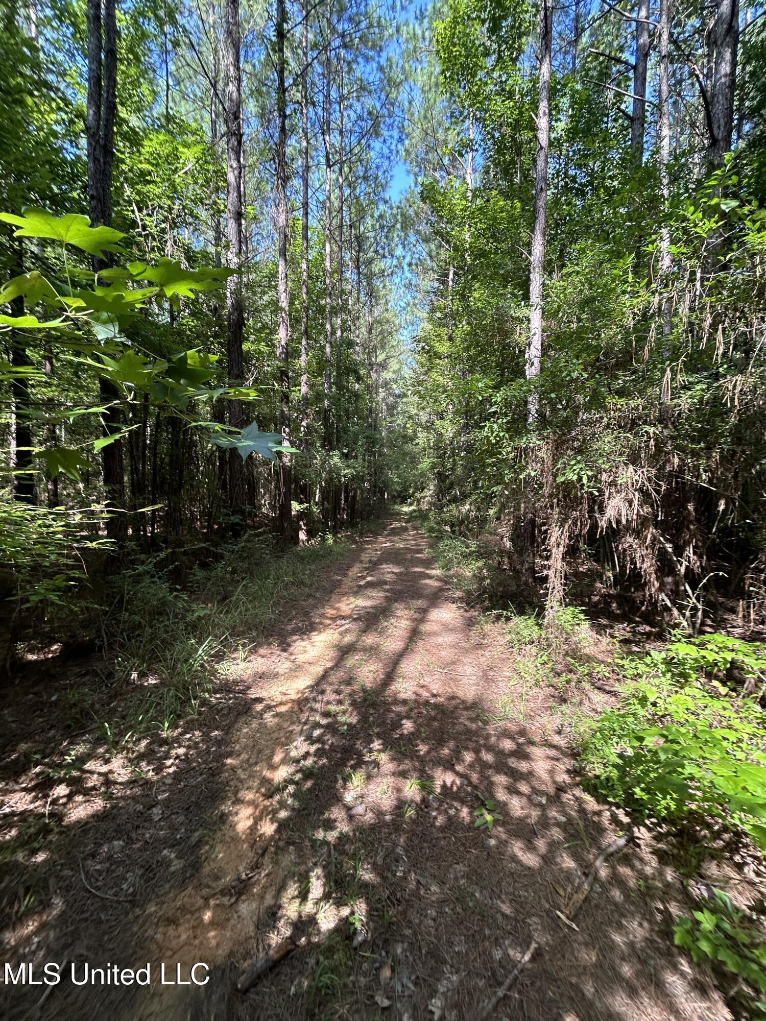 Lowenkamp Lane Property Photo 6