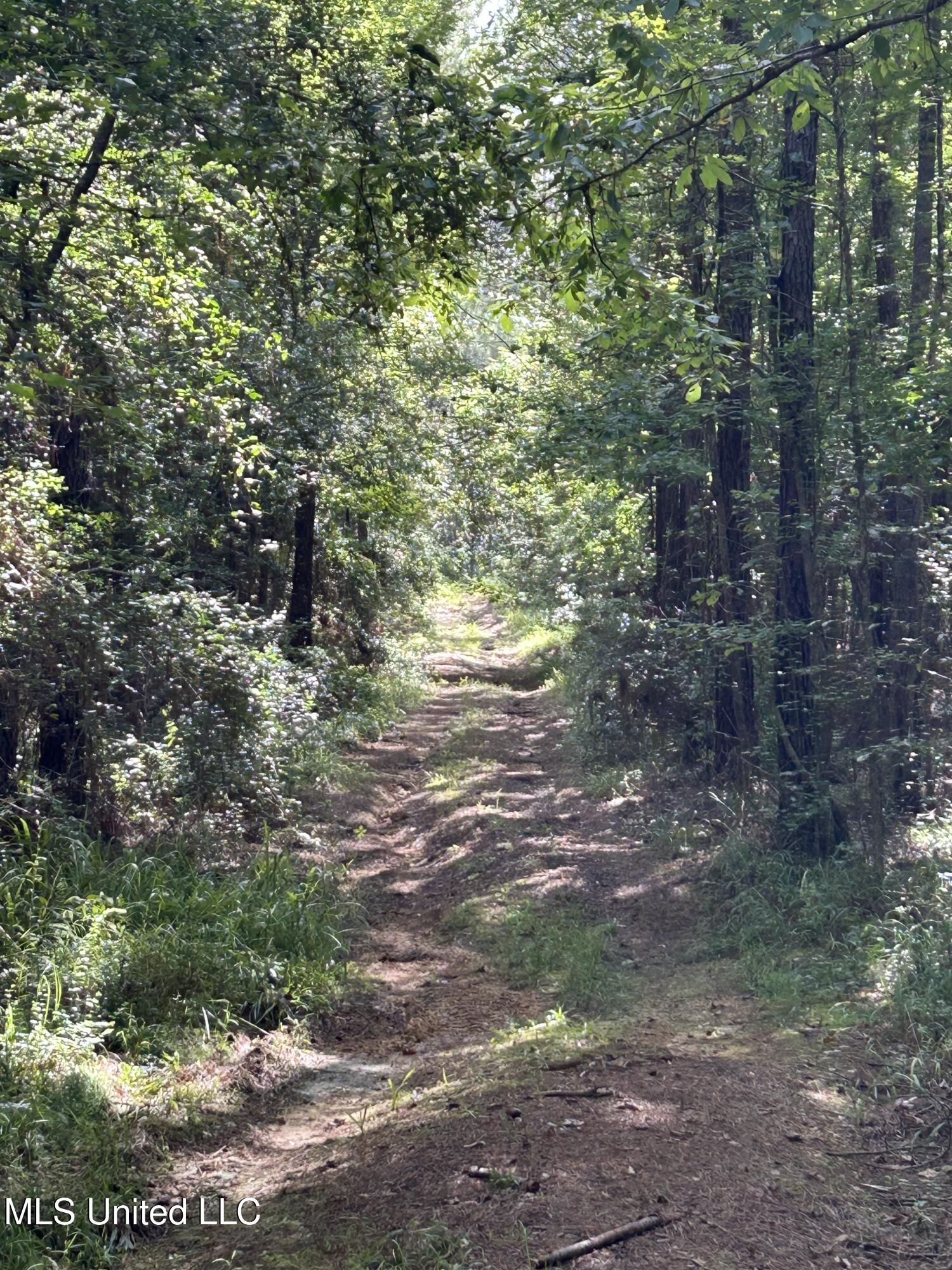 Lowenkamp Lane Property Photo 7