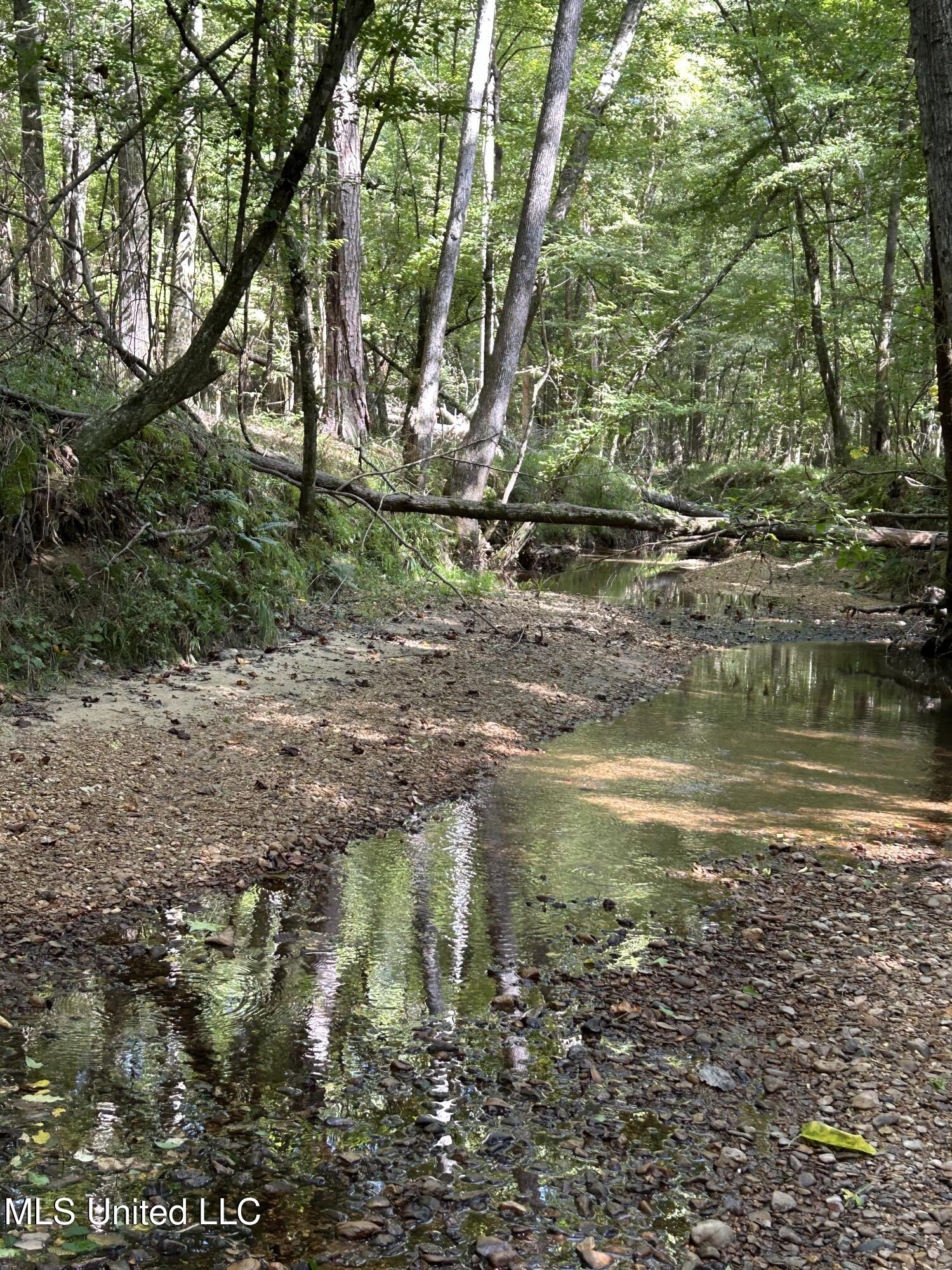Lowenkamp Lane Property Photo 8