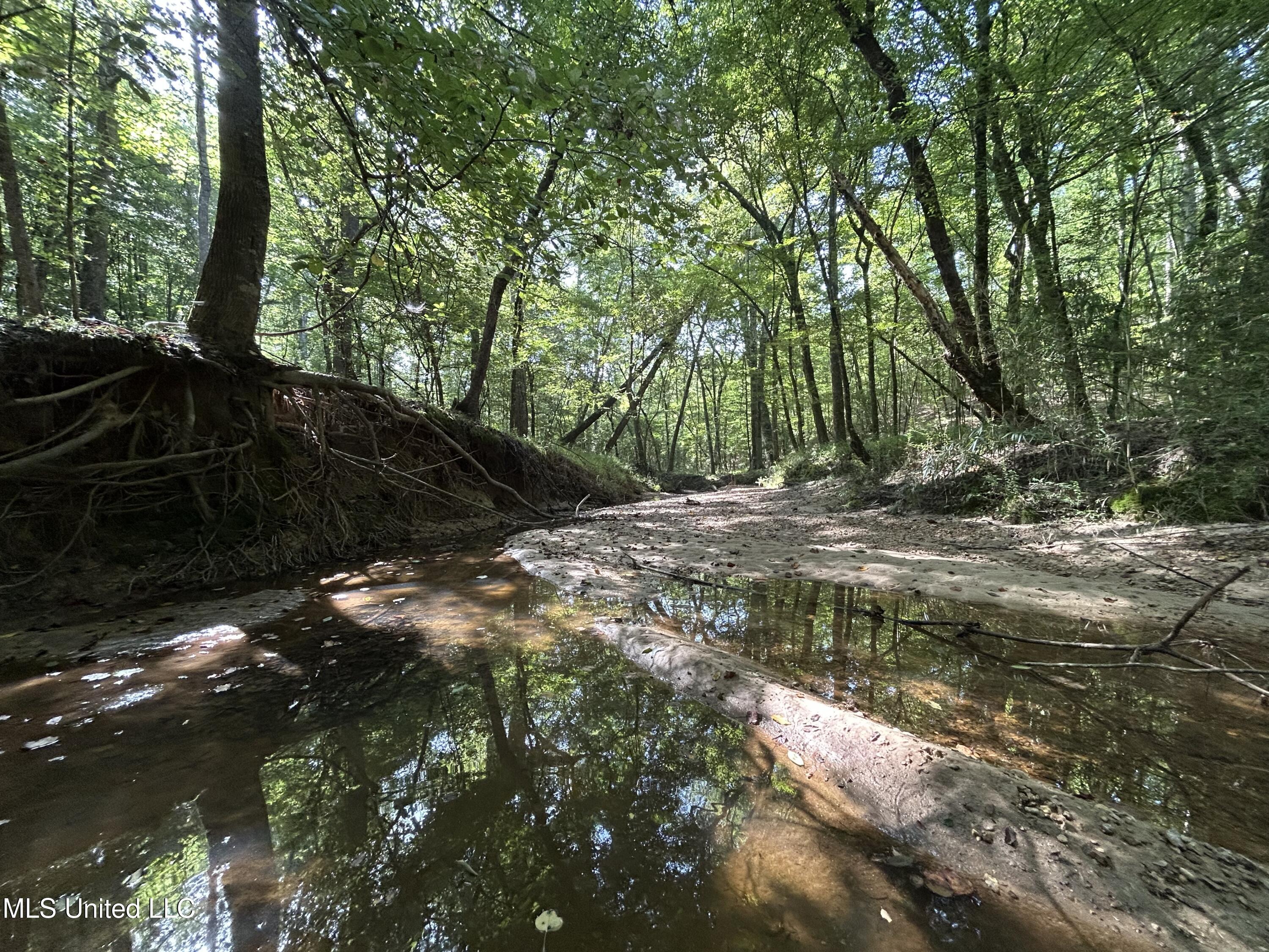Lowenkamp Lane Property Photo 9