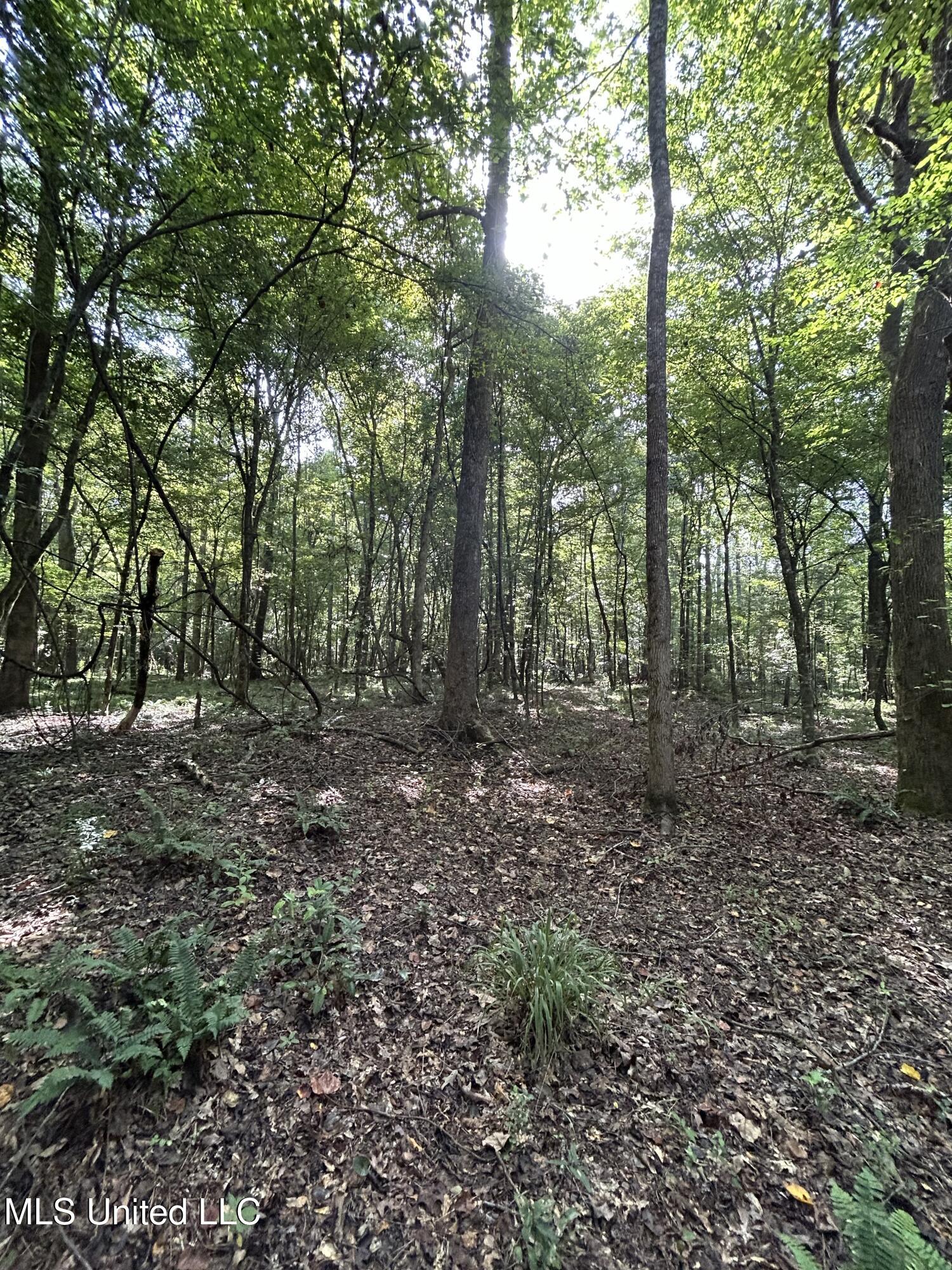 Lowenkamp Lane Property Photo 10