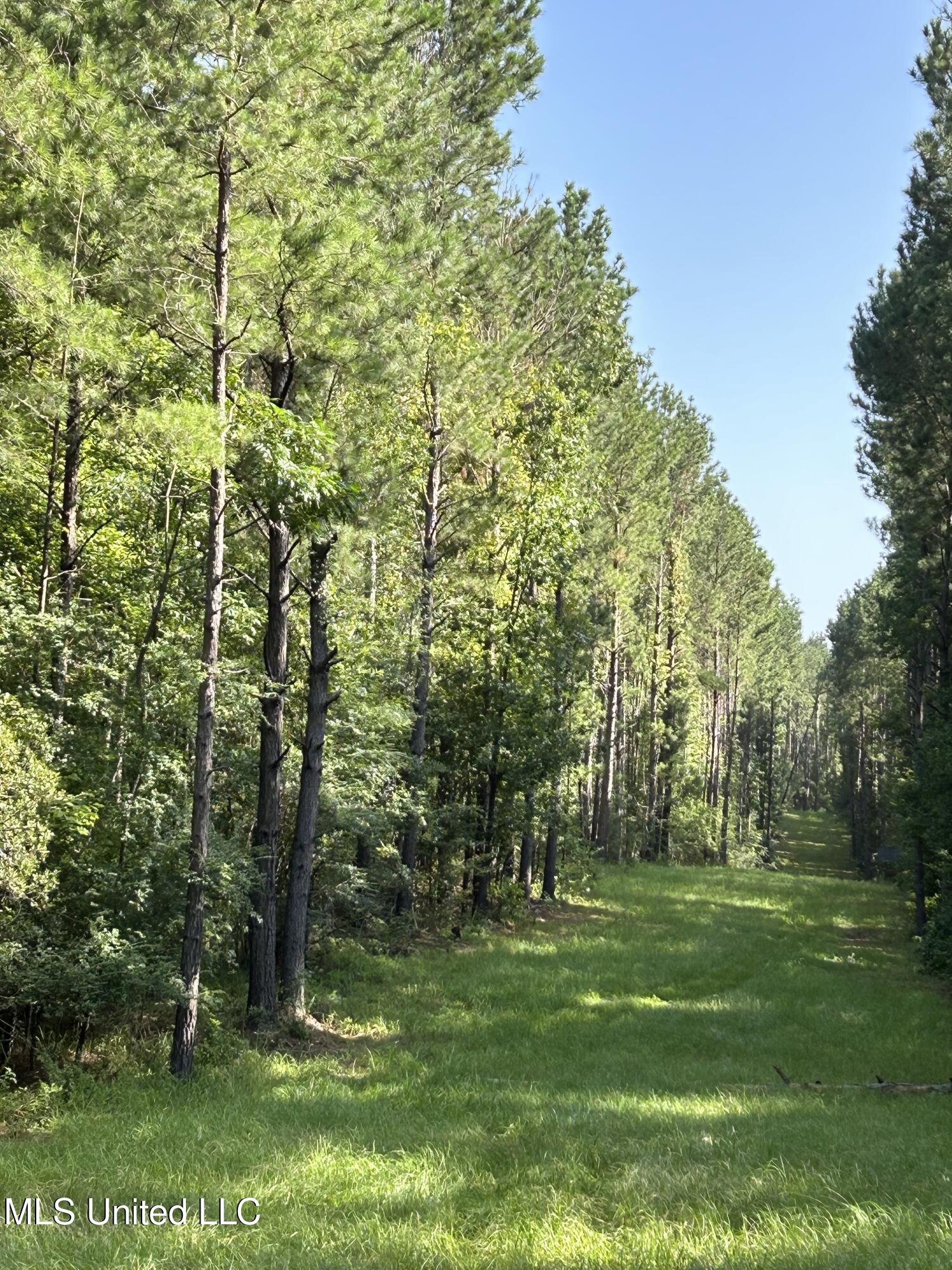 Lowenkamp Lane Property Photo 11