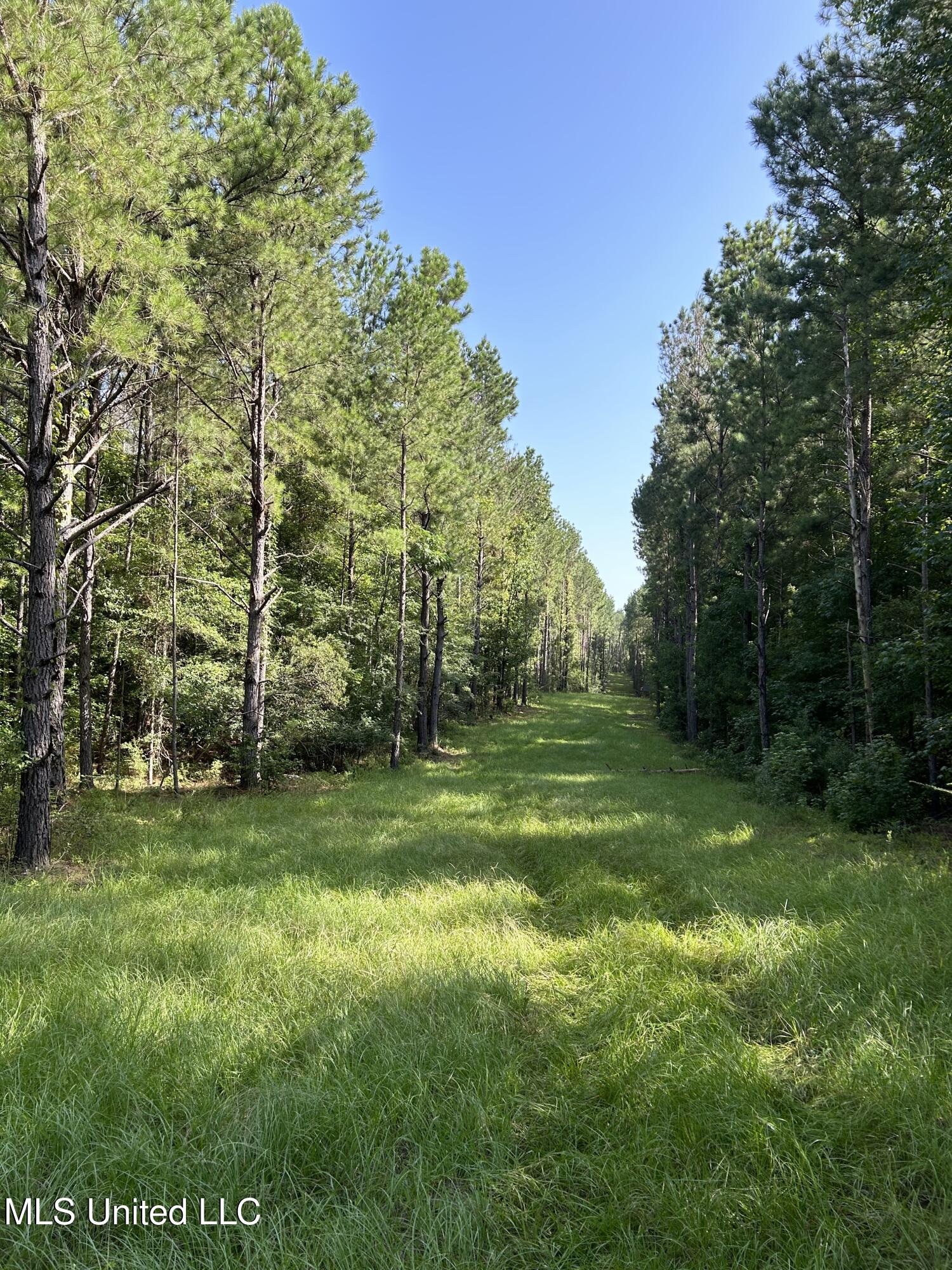Lowenkamp Lane Property Photo 12