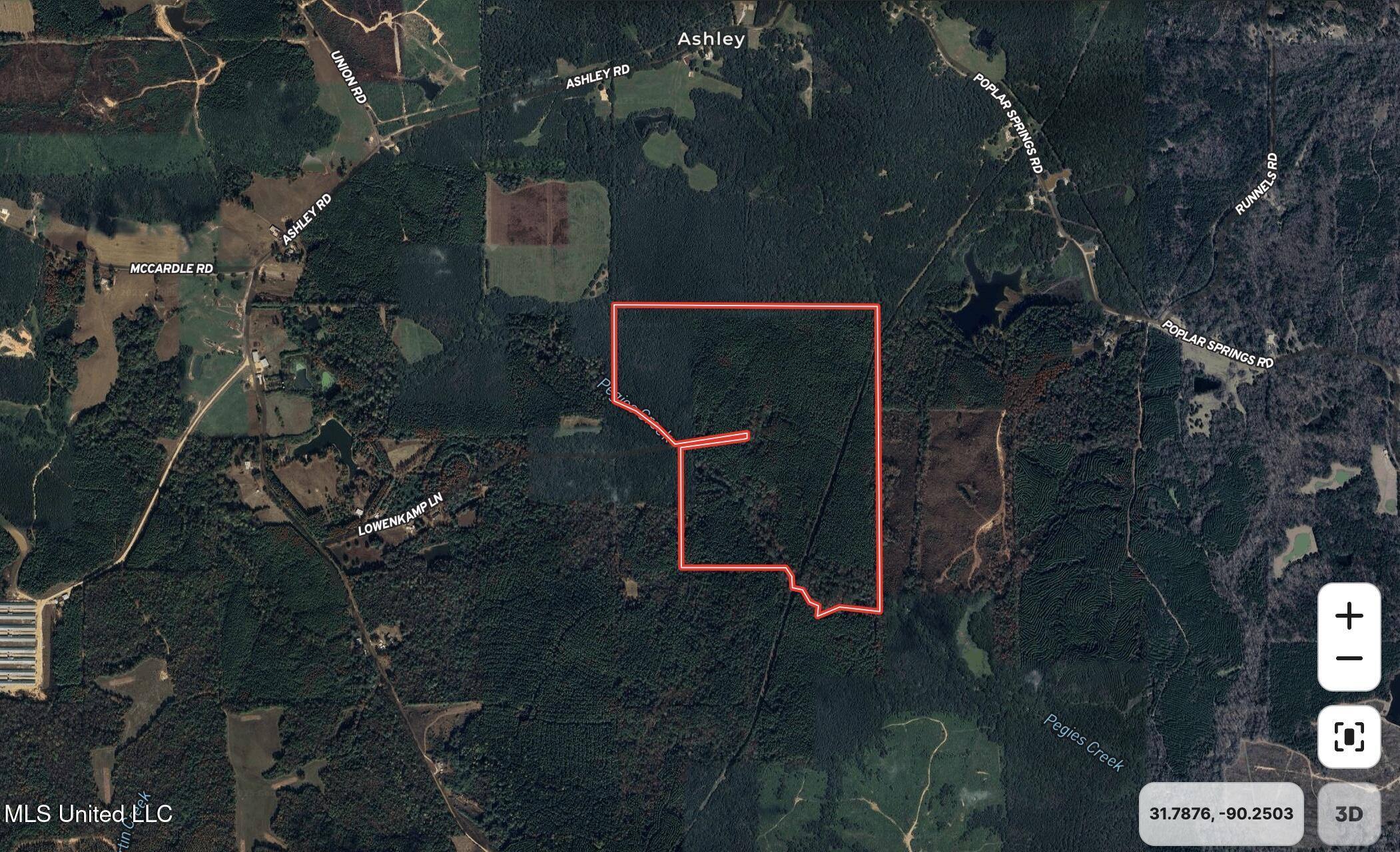 Lowenkamp Lane Property Photo 14