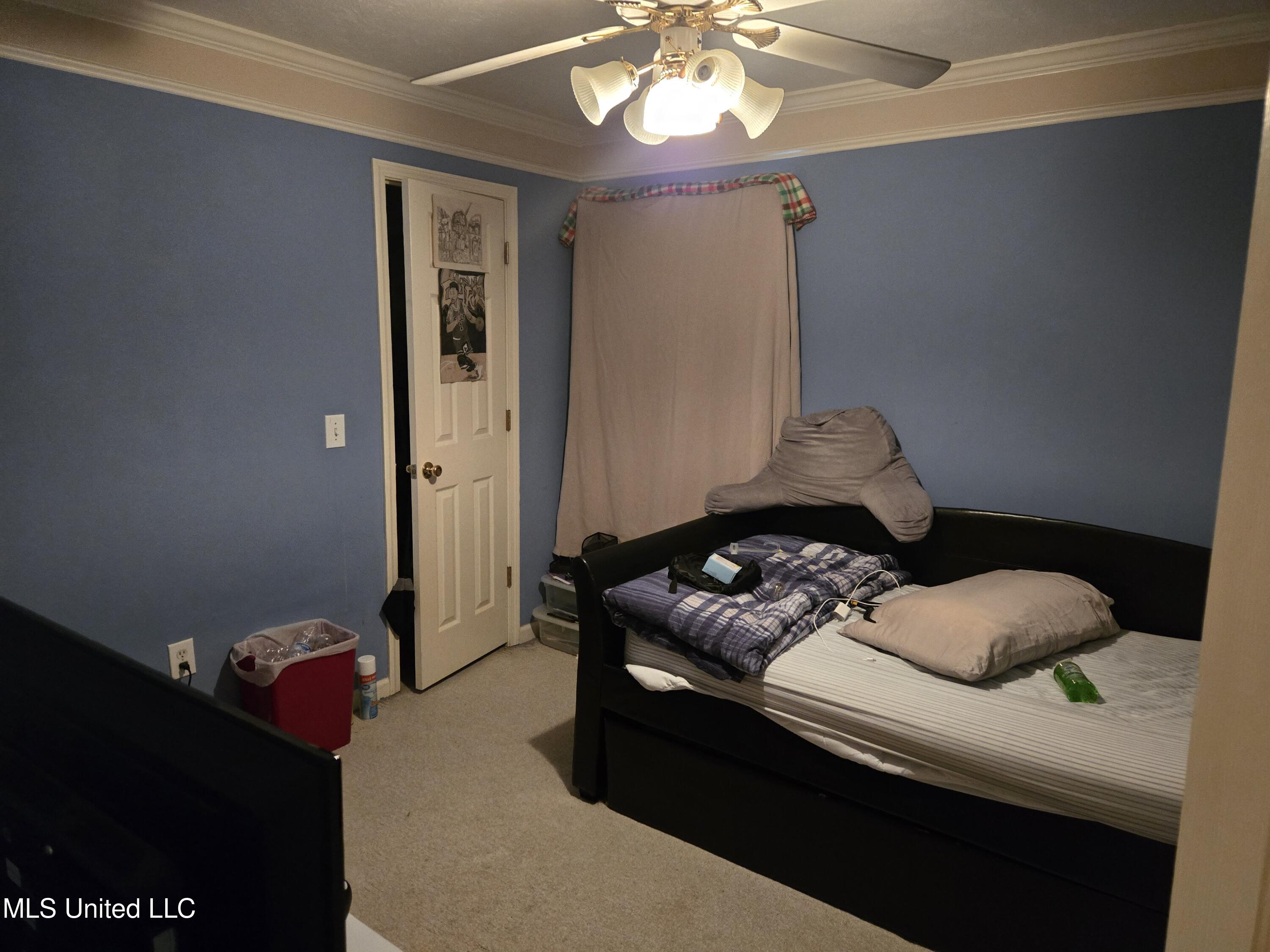 3208 Ryan Cove Property Photo 16