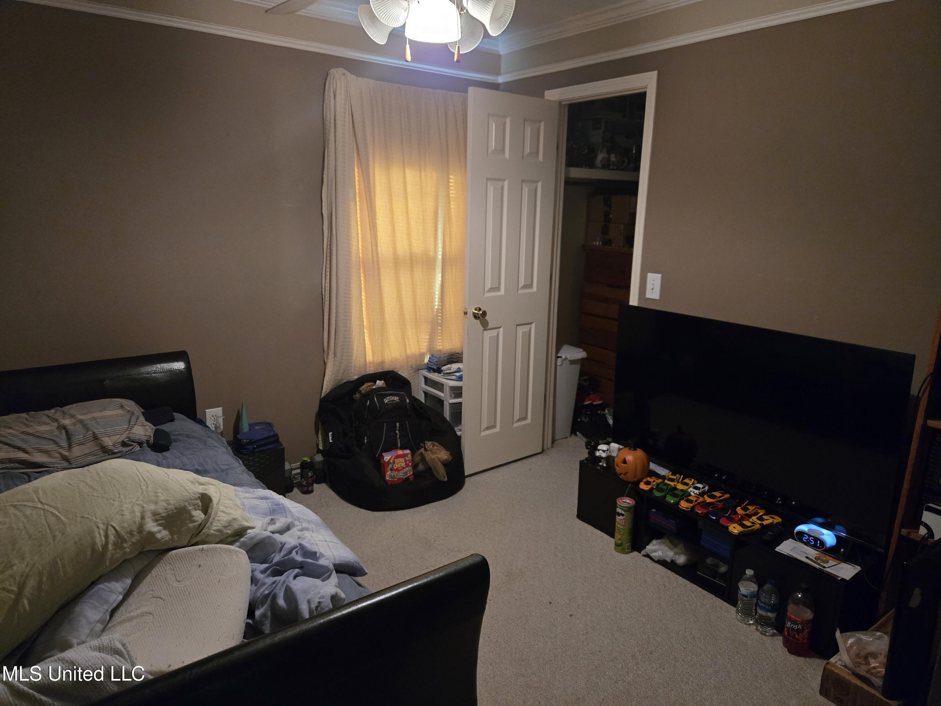 3208 Ryan Cove Property Photo 18