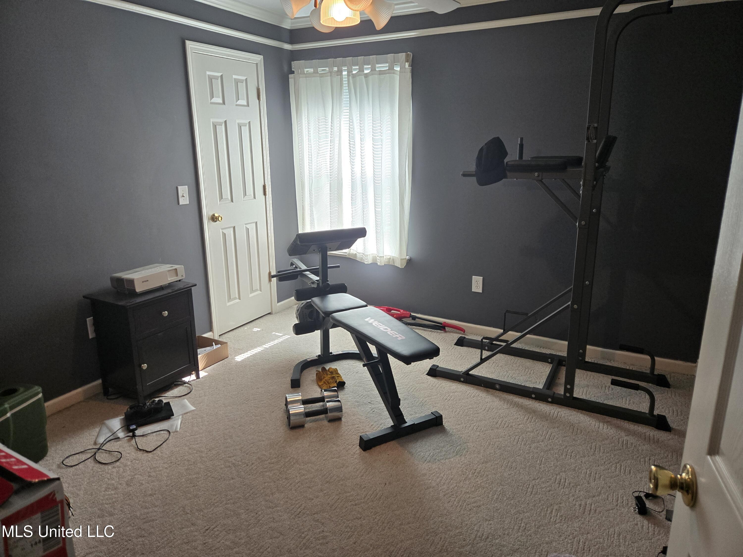 3208 Ryan Cove Property Photo 20