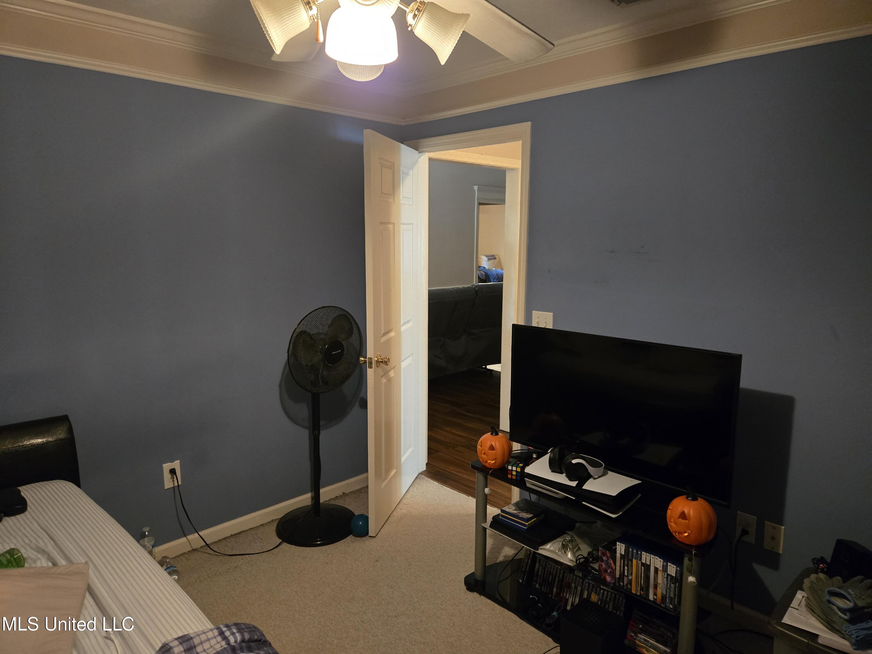 3208 Ryan Cove Property Photo 26