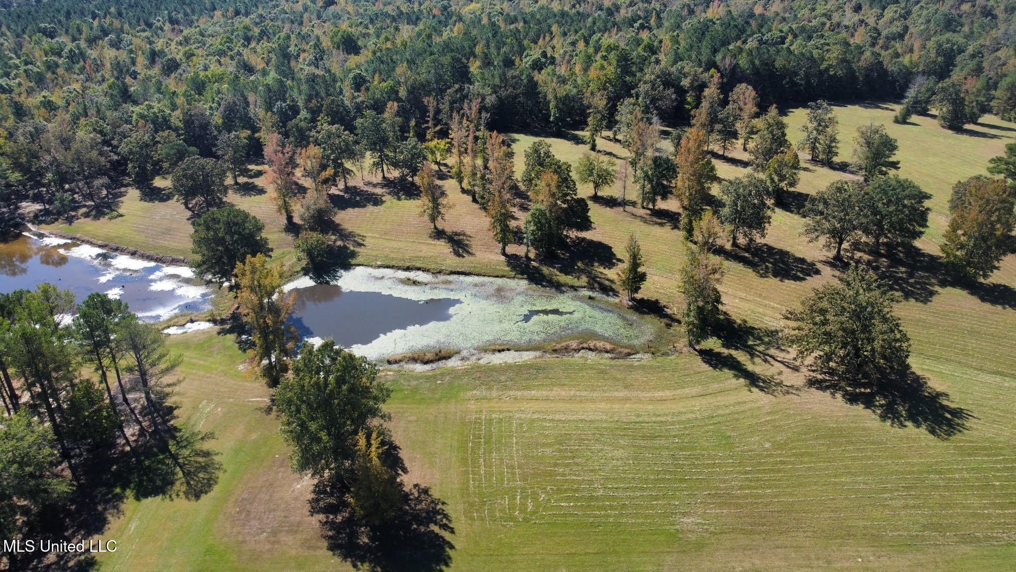 00 Highway 82 Property Photo 3