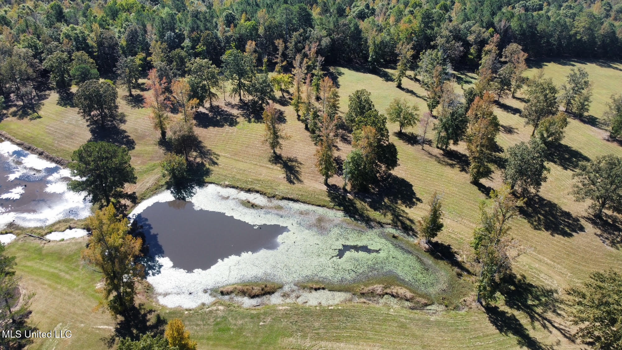 00 Highway 82 Property Photo 4