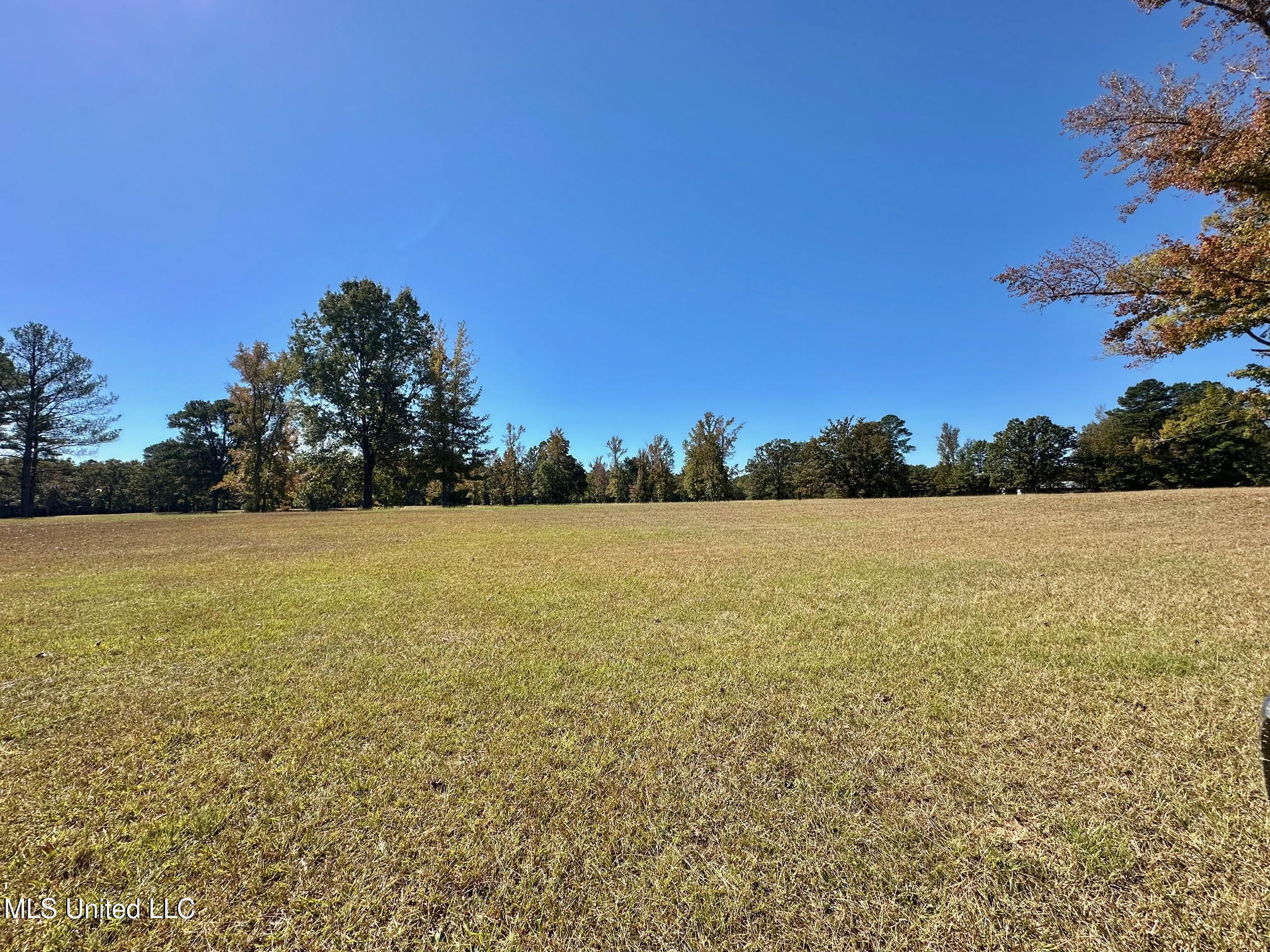 00 Highway 82 Property Photo 11