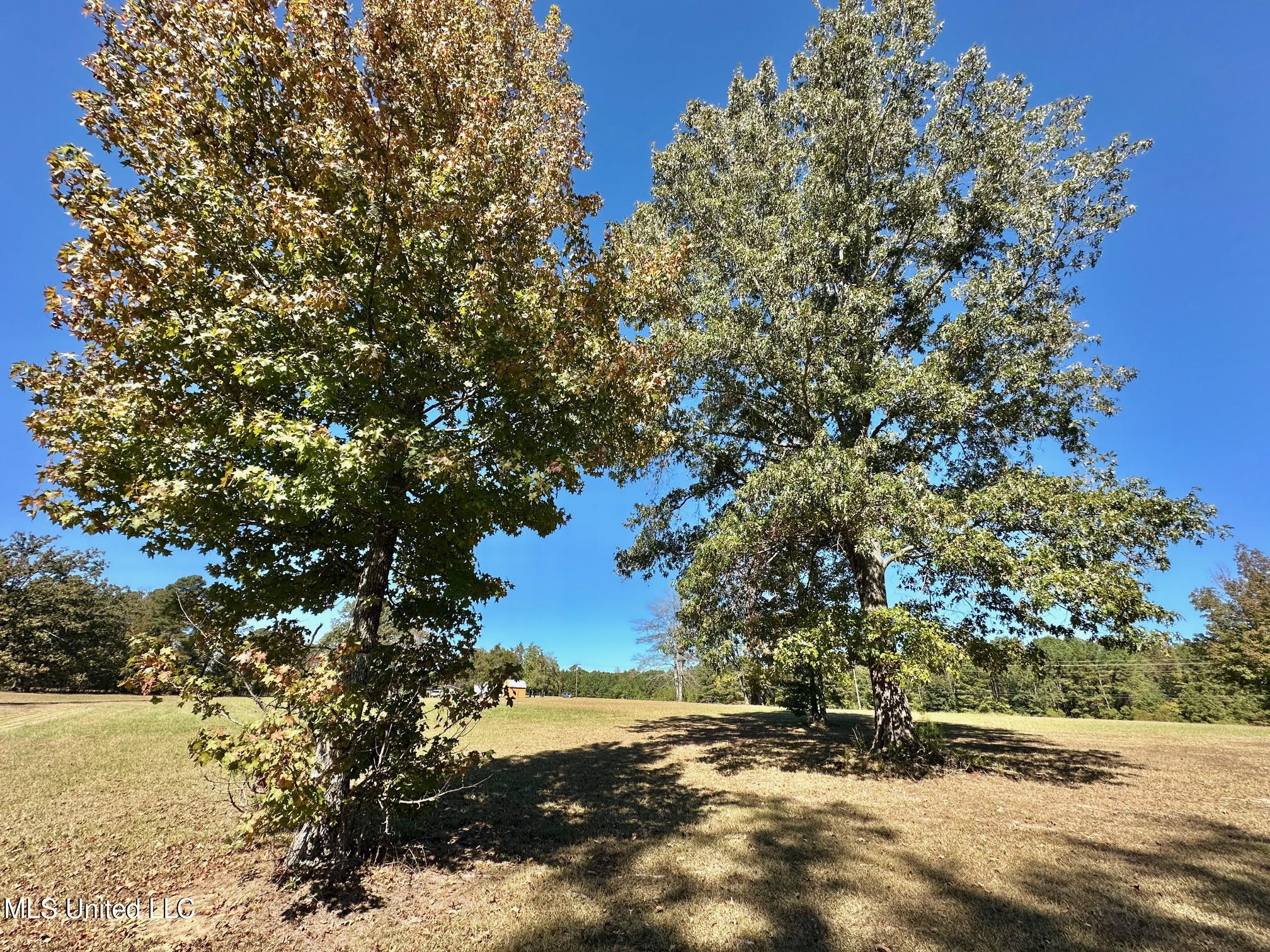 00 Highway 82 Property Photo 12