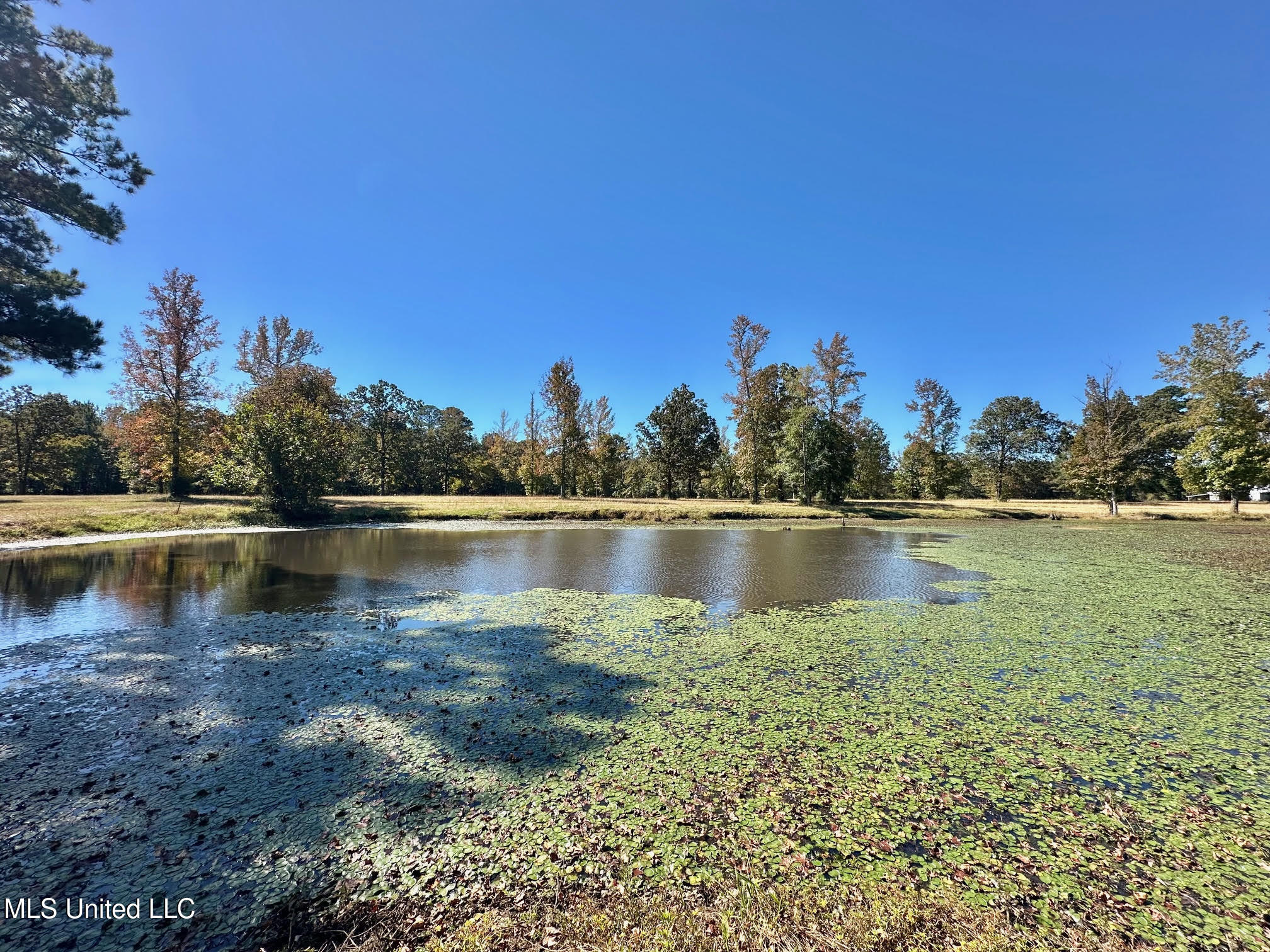 00 Highway 82 Property Photo 14