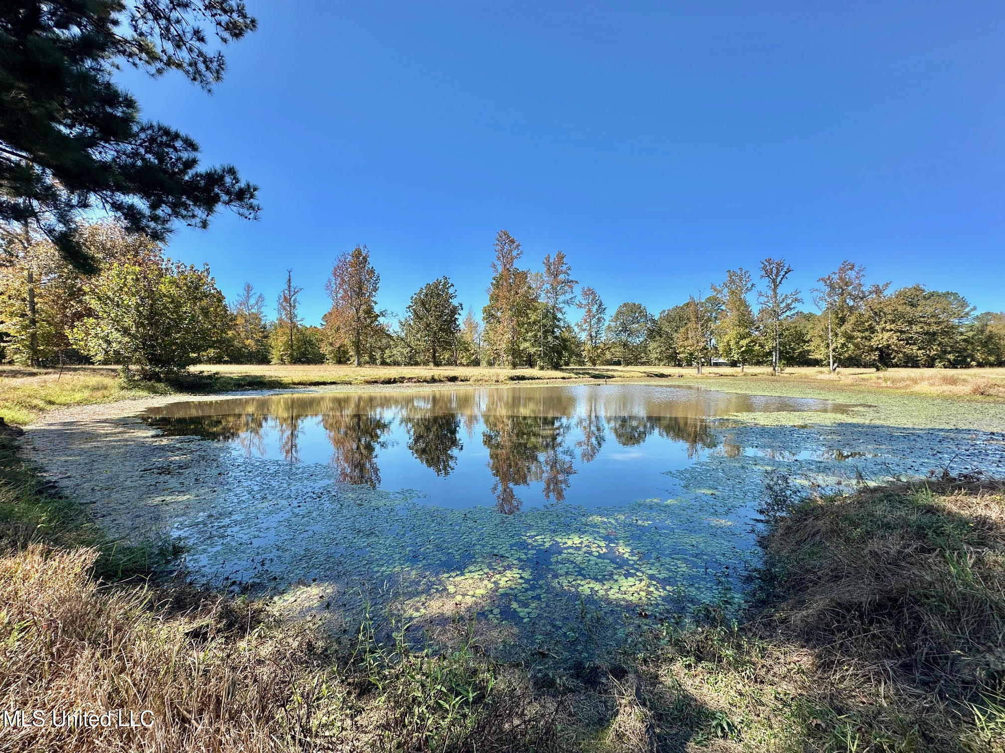 00 Highway 82 Property Photo 15