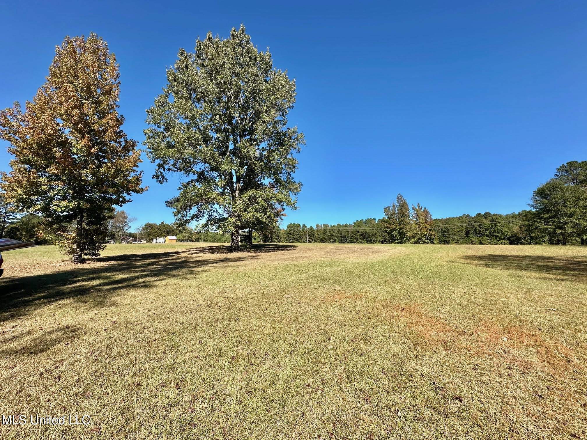 00 Highway 82 Property Photo 17