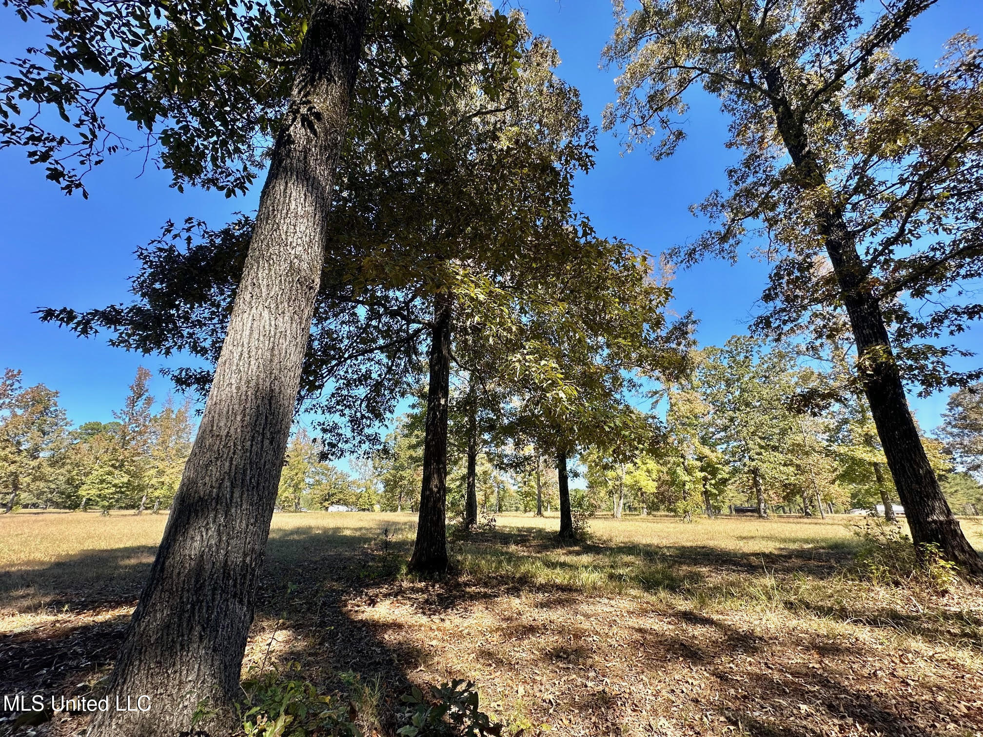 00 Highway 82 Property Photo 22