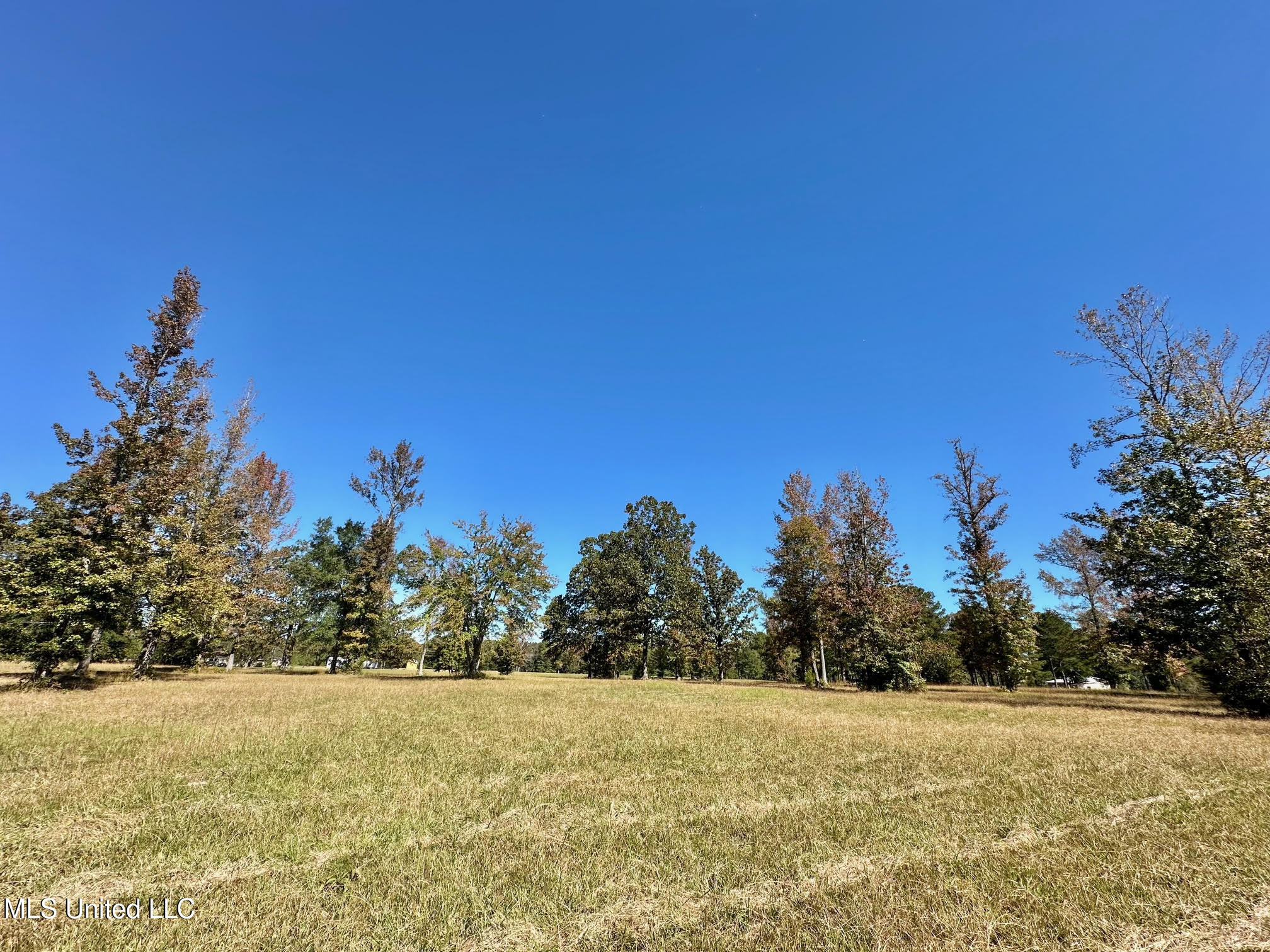 00 Highway 82 Property Photo 23