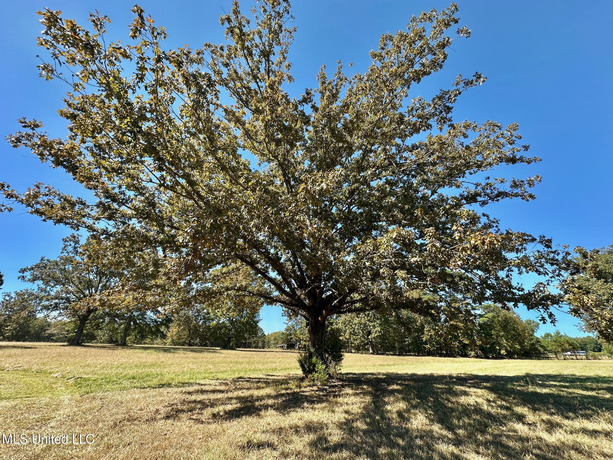 00 Highway 82 Property Photo 24