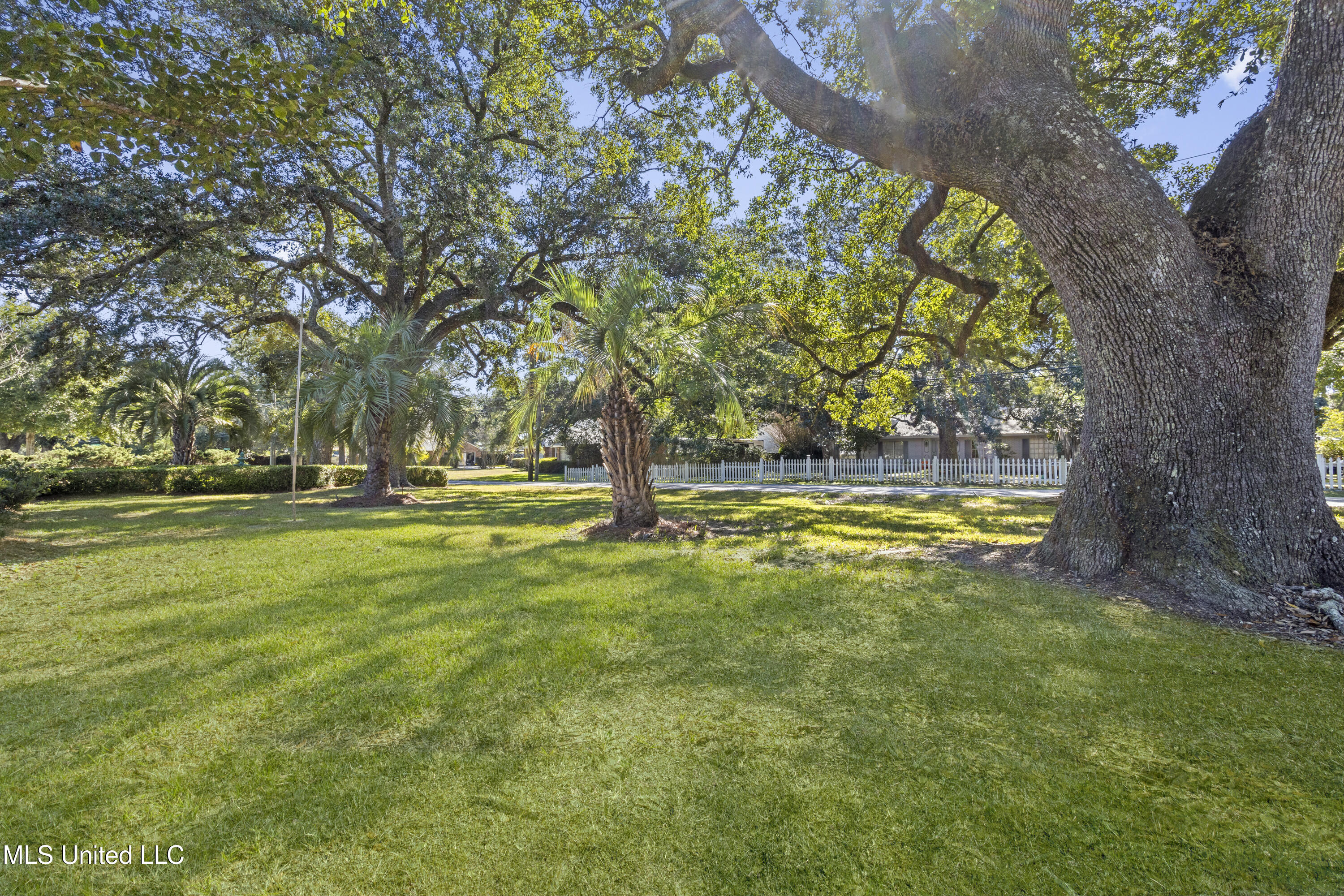 1509 E Second Street Property Photo 4