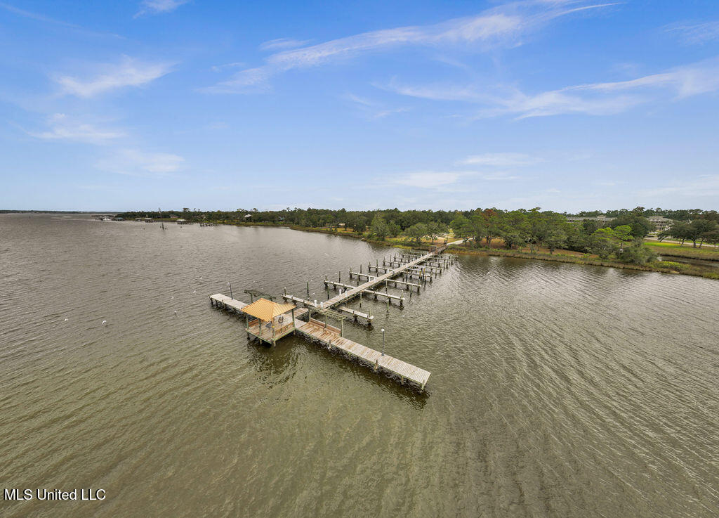 Lot 41 Savannah Estates Boulevard Property Photo 8