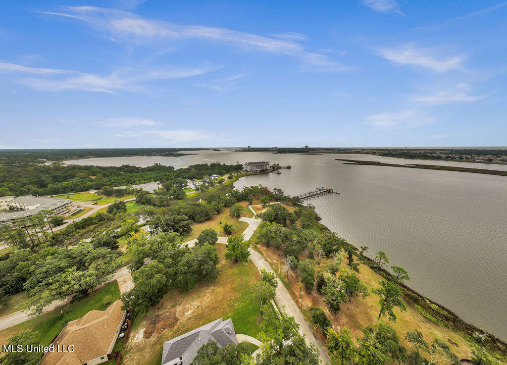 Lot 41 Savannah Estates Boulevard Property Photo 9