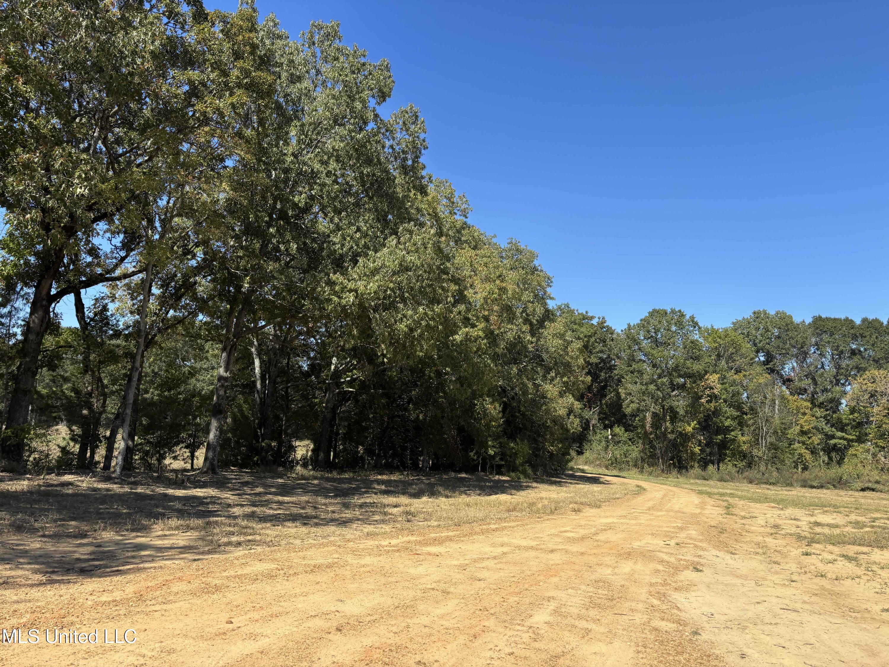 990 Black Jack Road Property Photo 18