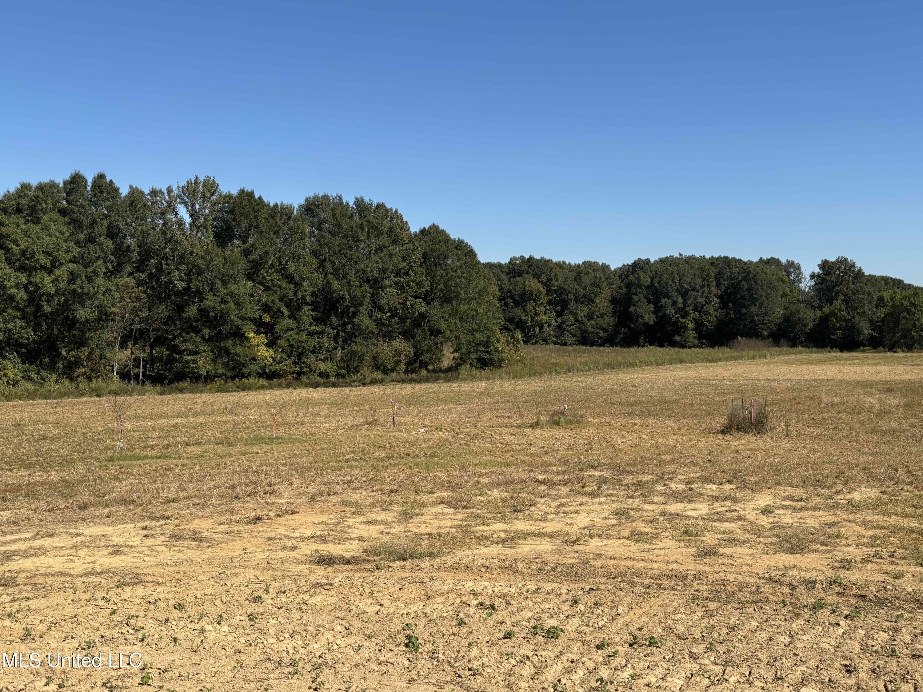 990 Black Jack Road Property Photo 27