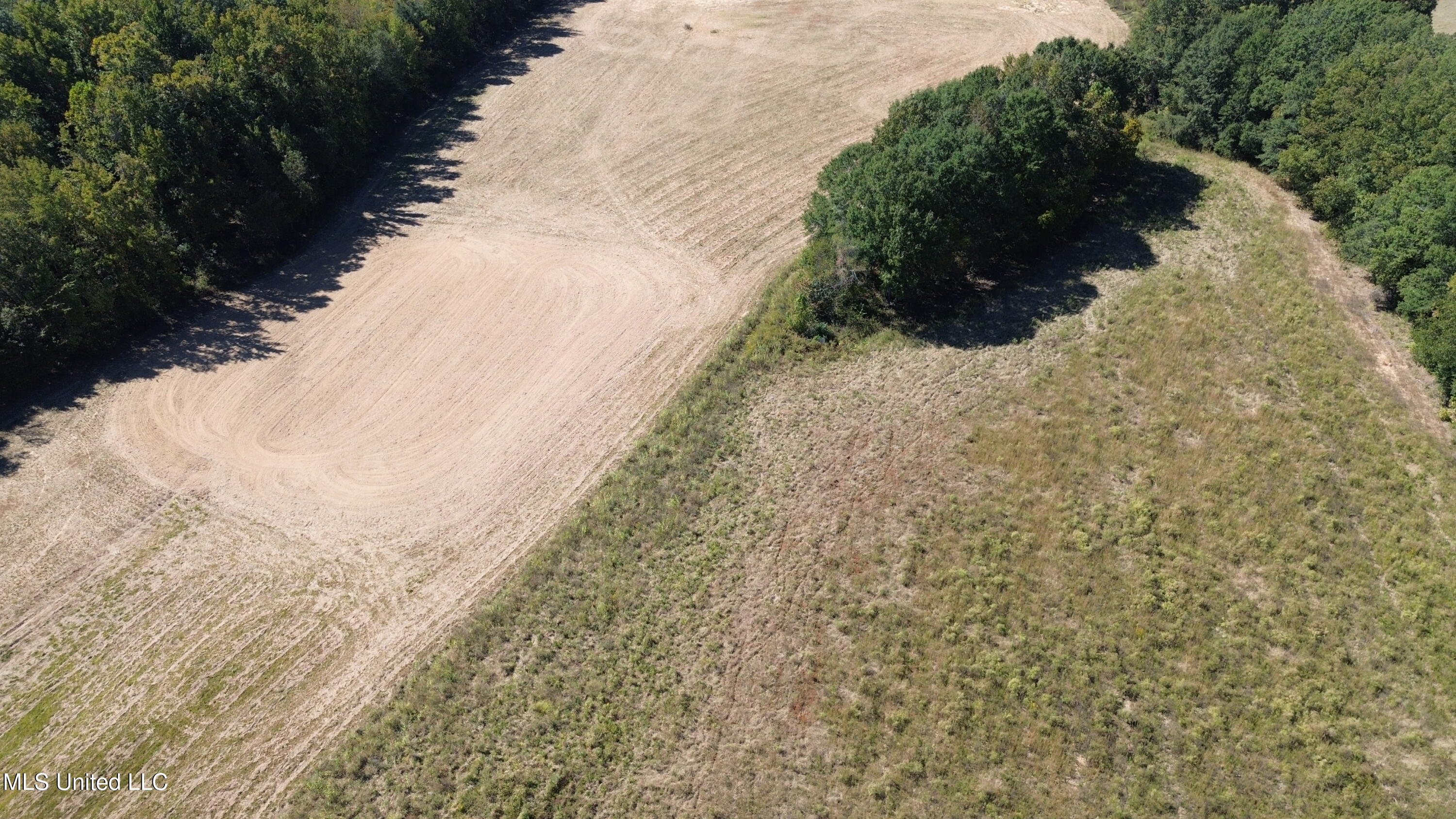 990 Black Jack Road Property Photo 29