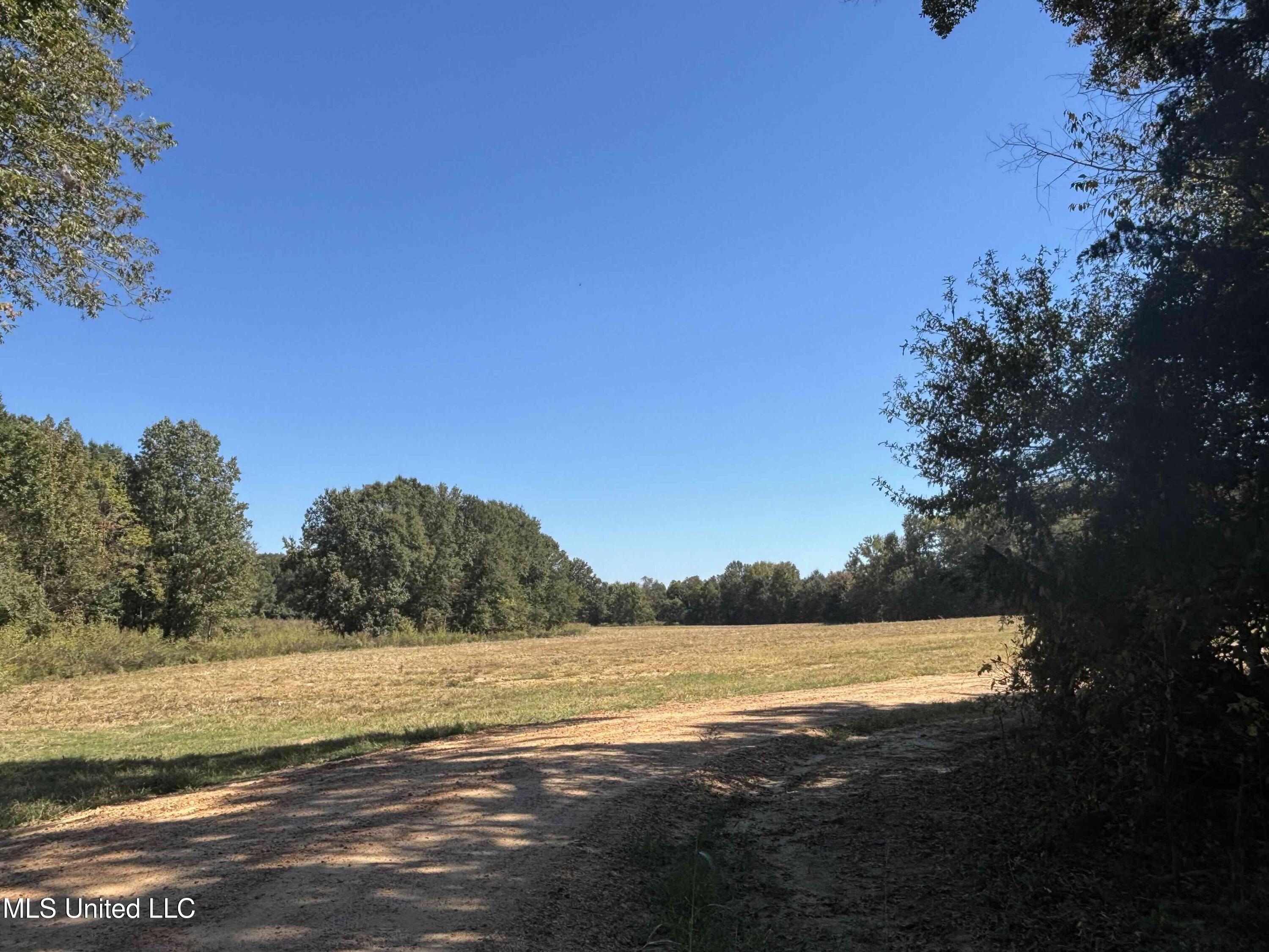 990 Black Jack Road Property Photo 31