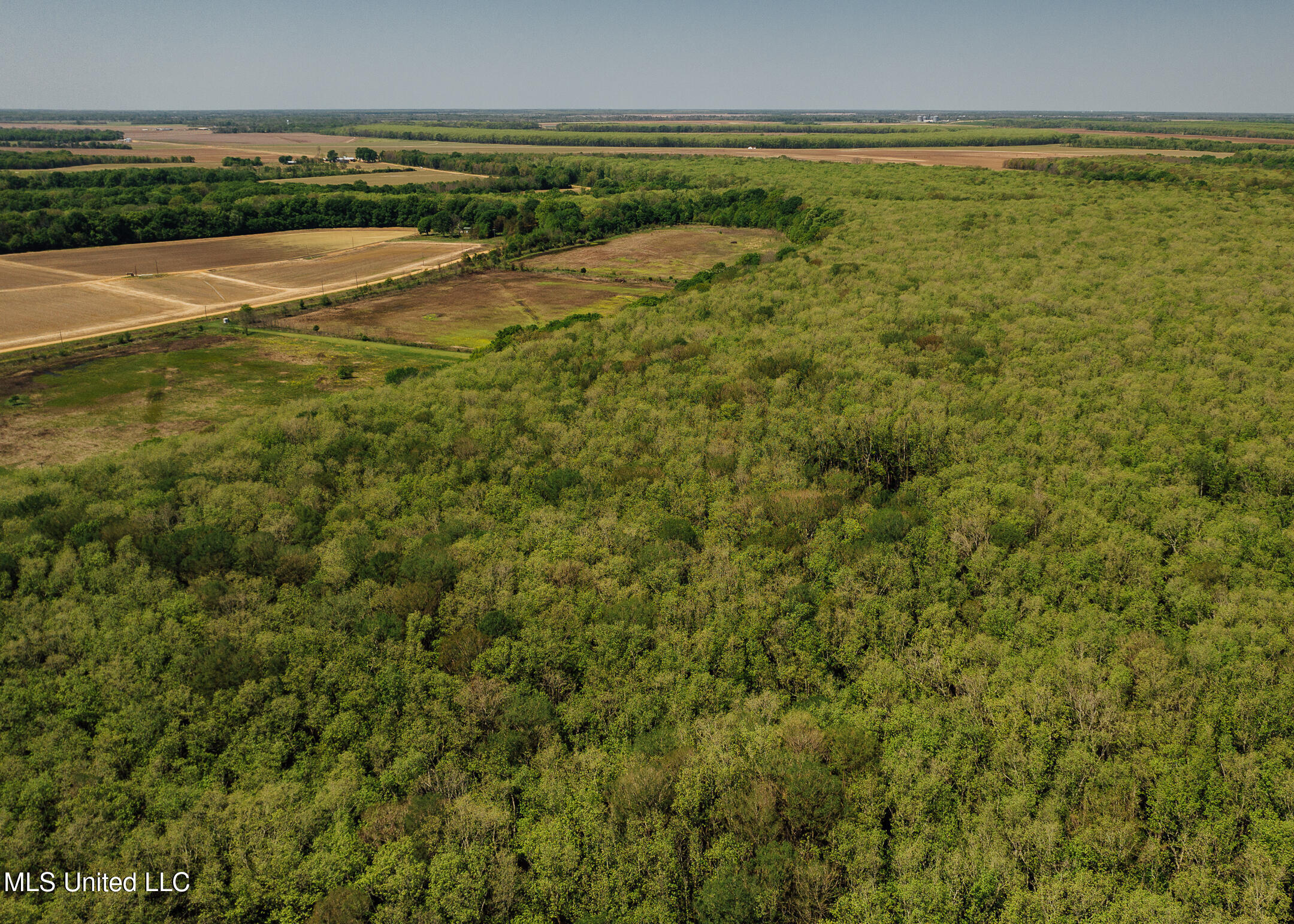 County Rd 176 Property Photo 18