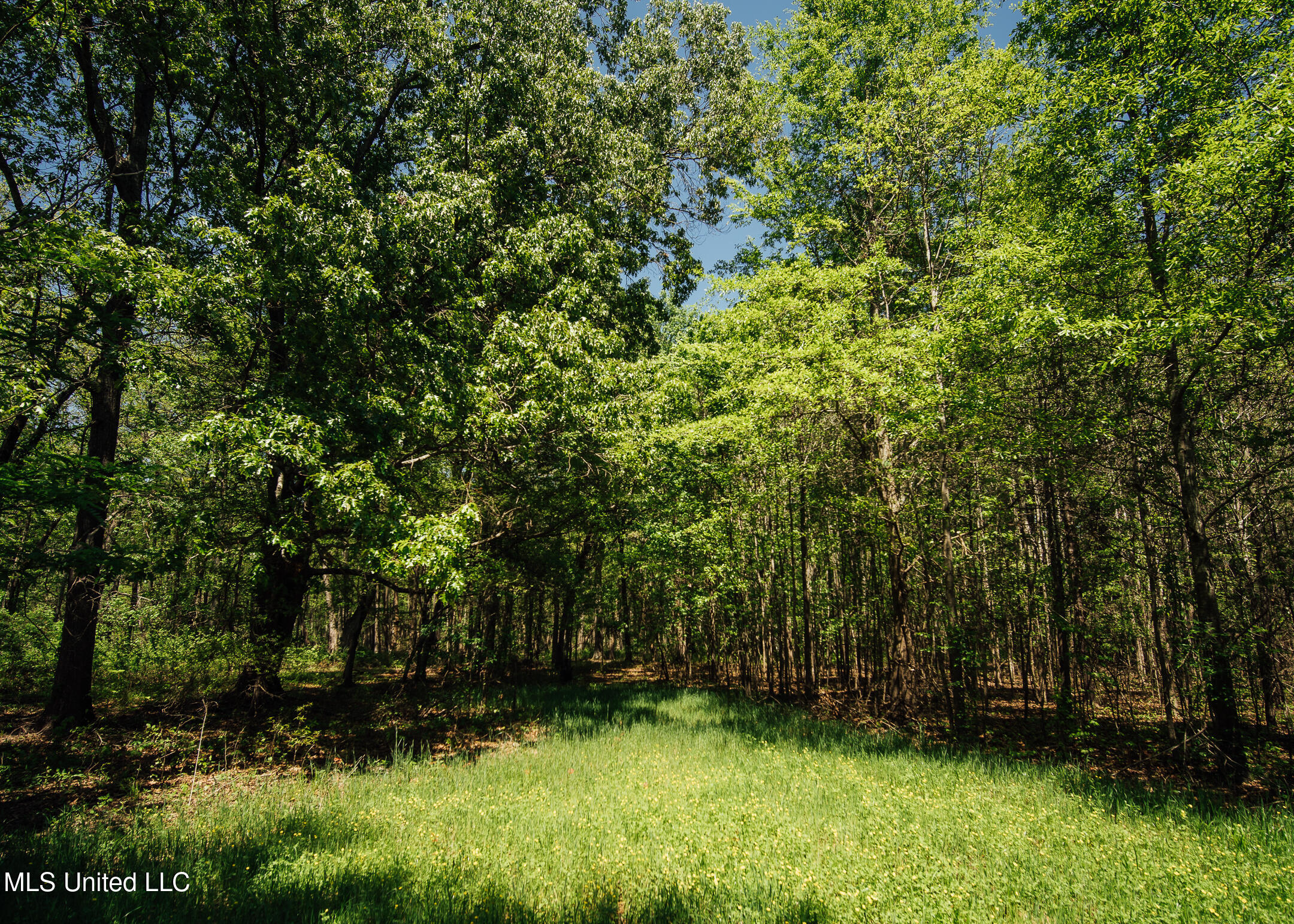 County Rd 176 Property Photo 29